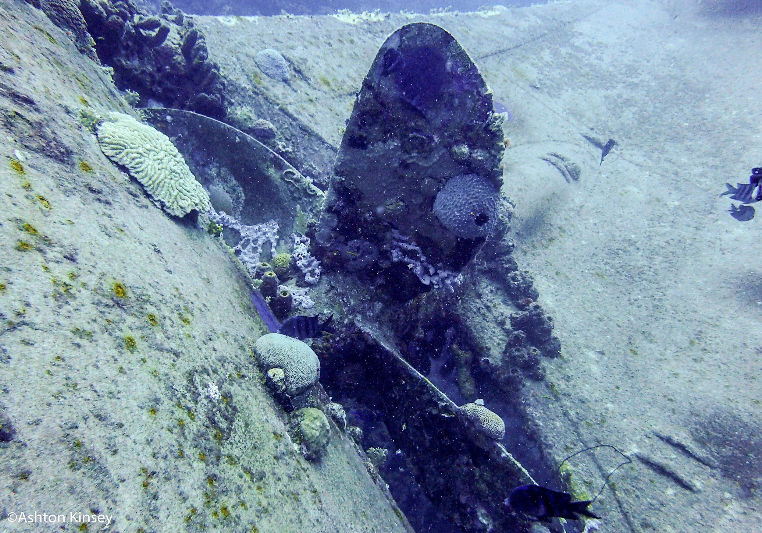 Hilma Hooker-8.jpg
