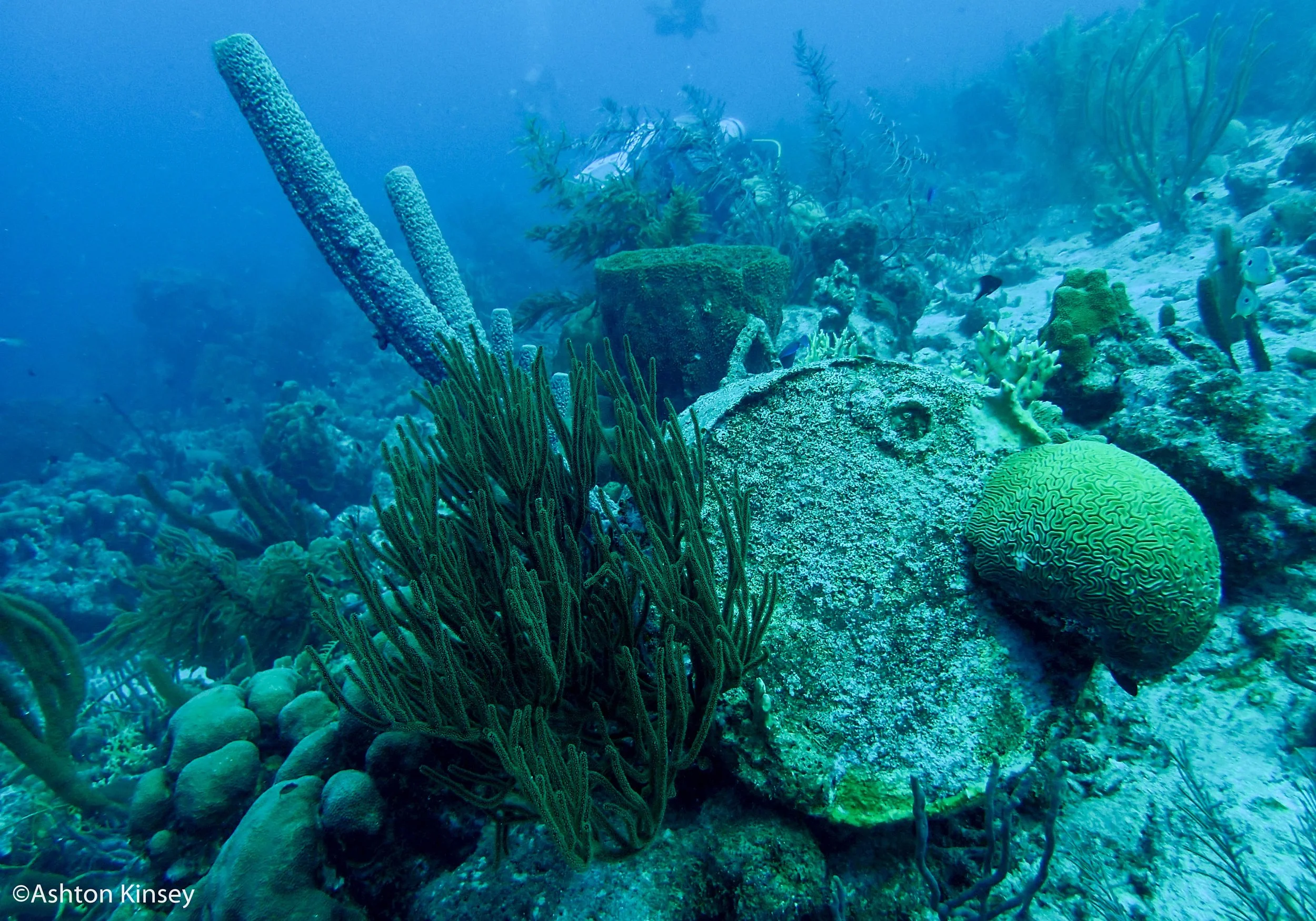 Hilma Hooker-14.jpg