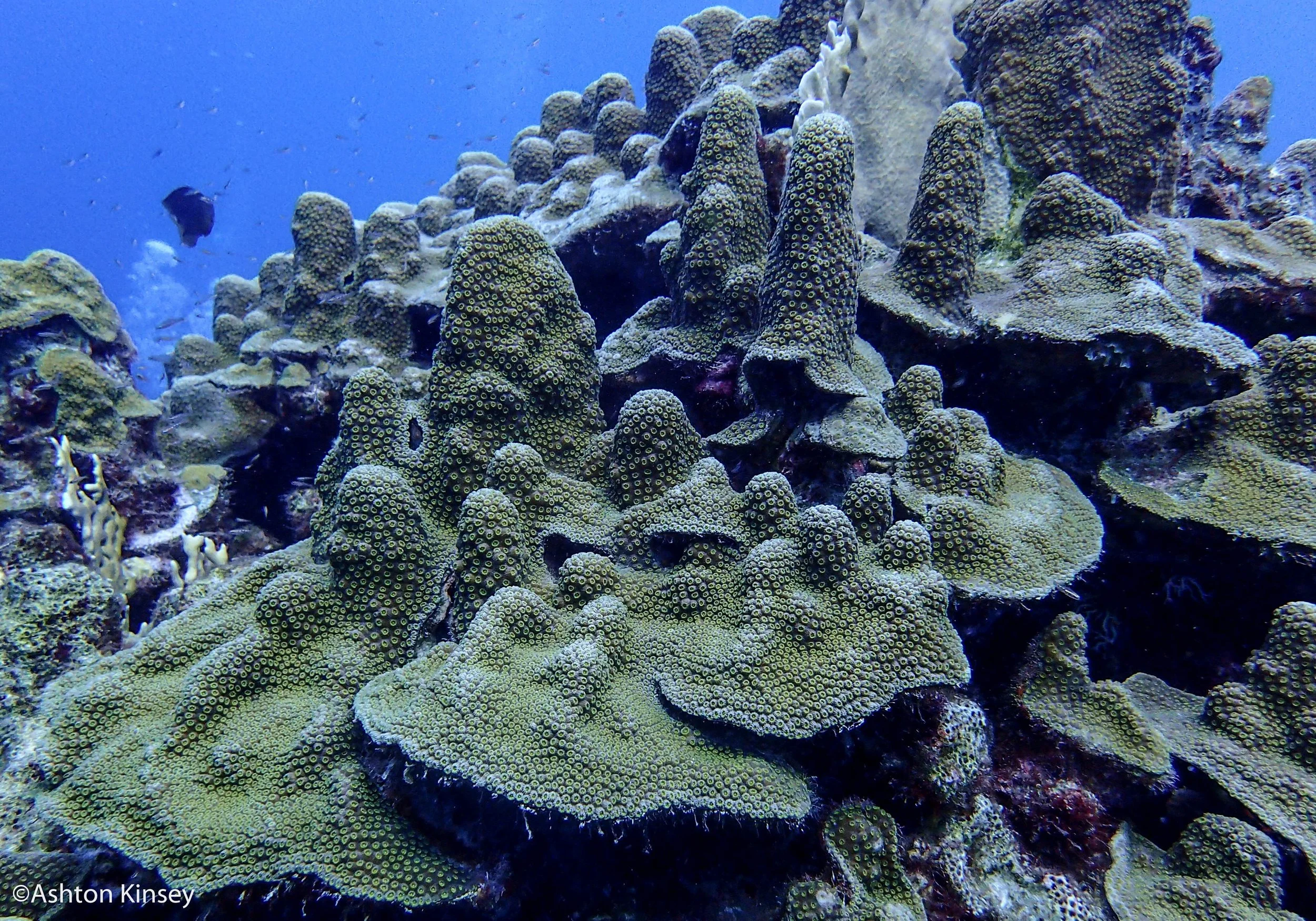 Rock Pile-2.jpg
