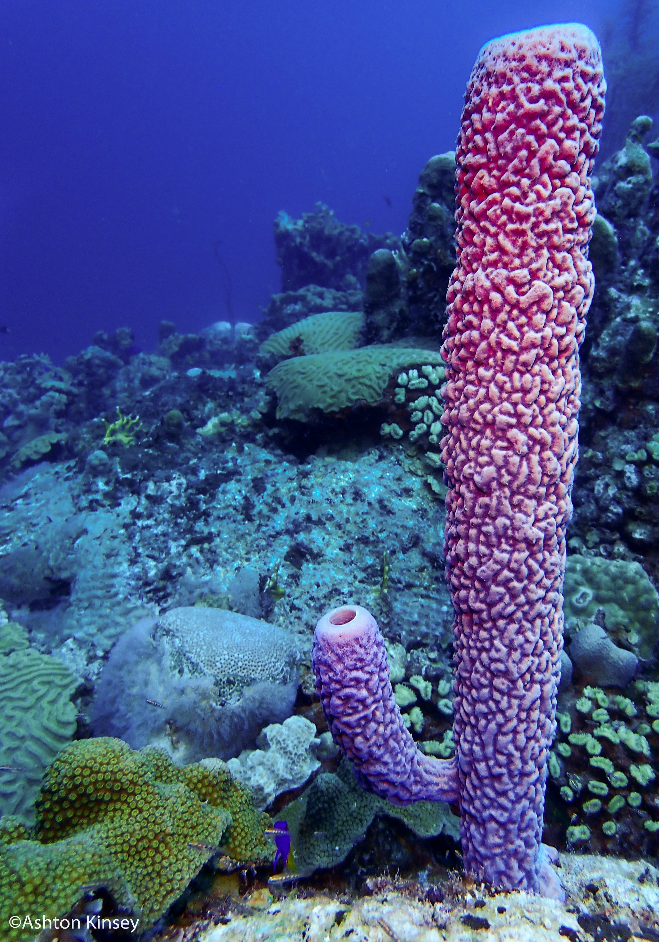 Rock Pile-3.jpg