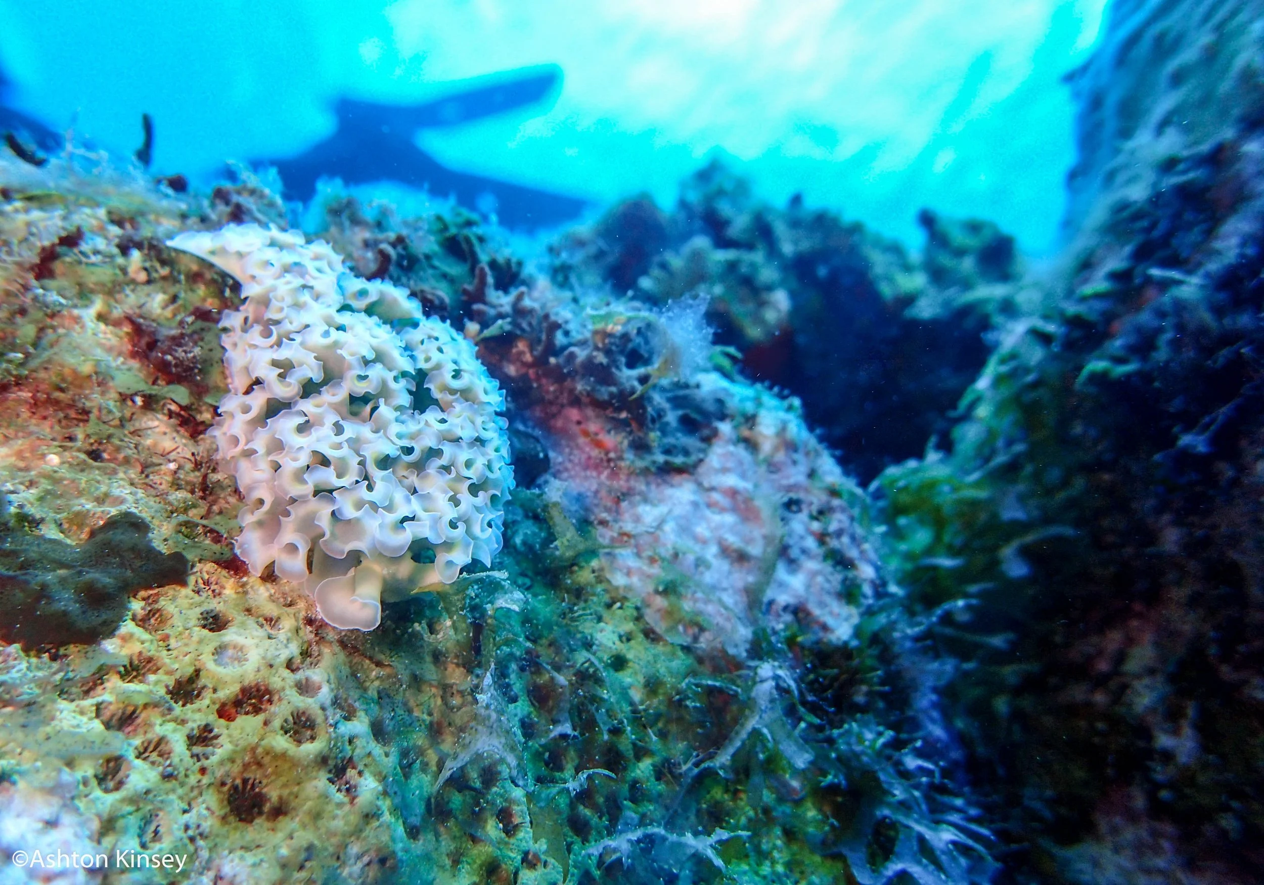 Rock Pile-5.jpg