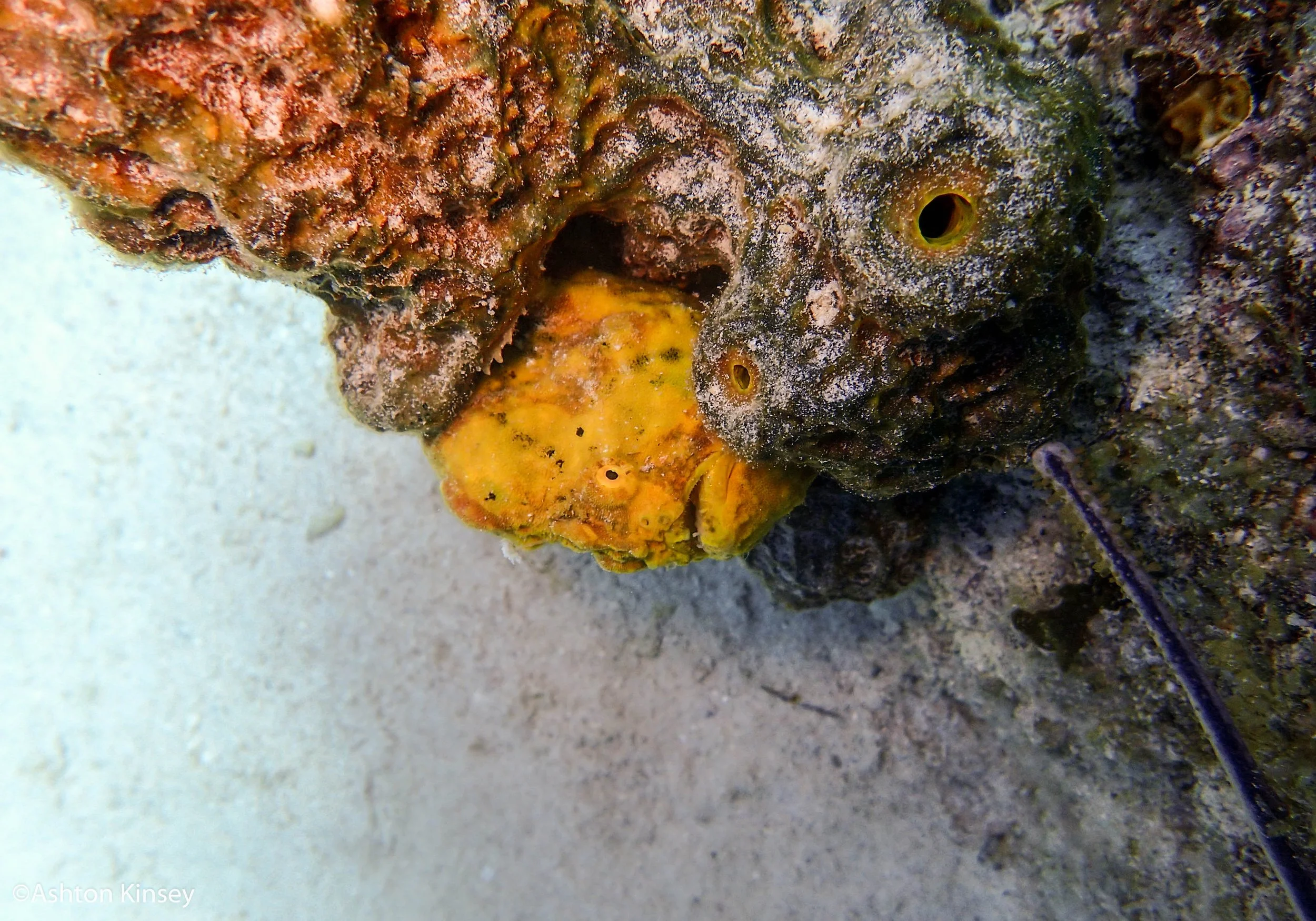 Rock Pile-7.jpg