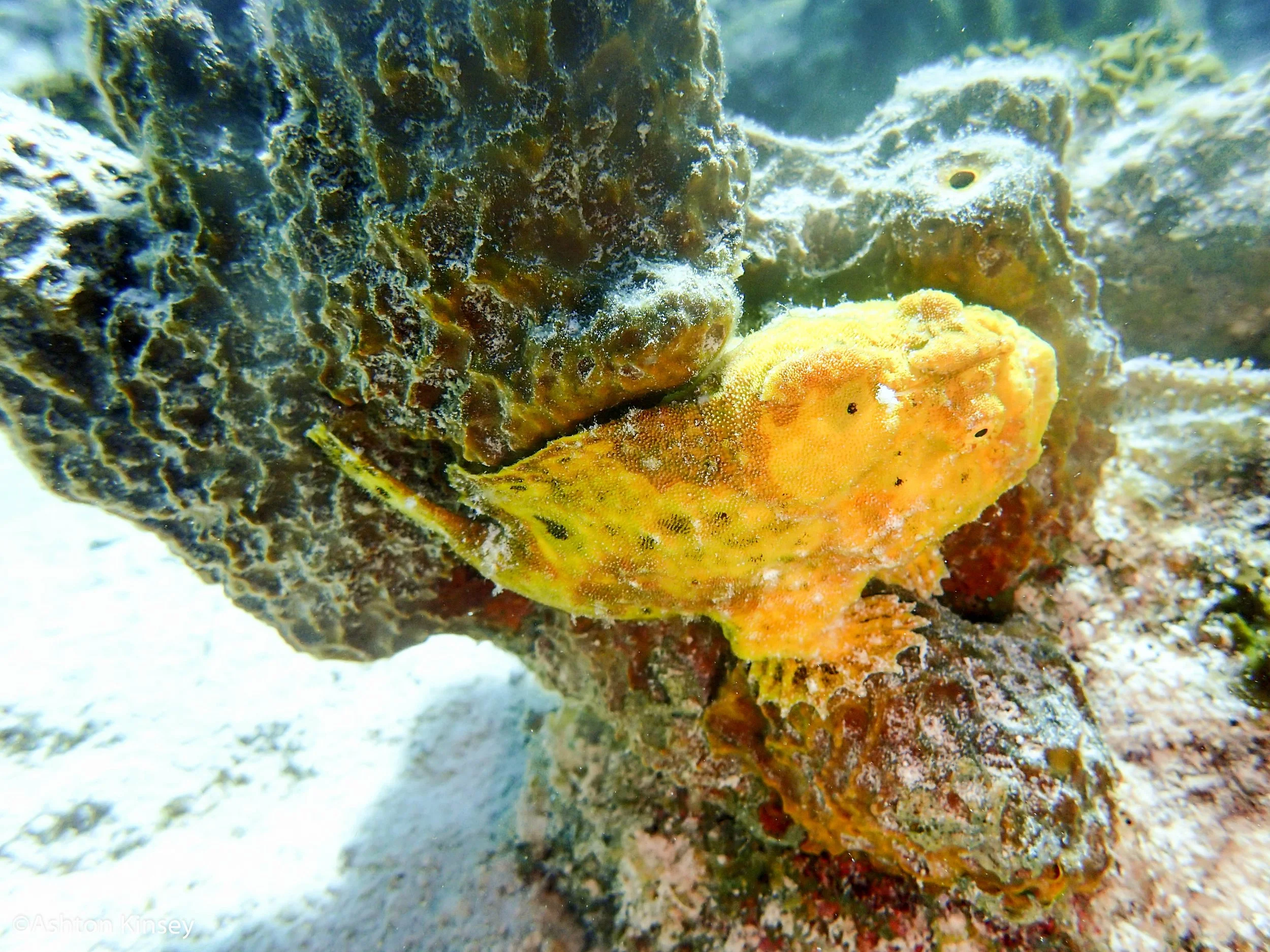 Rock Pile-8.jpg