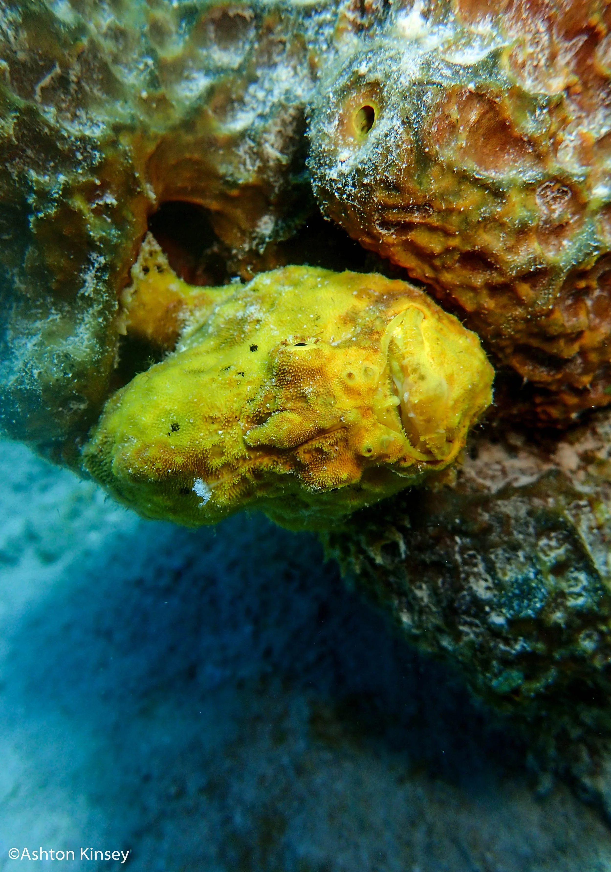 Rock Pile-9.jpg