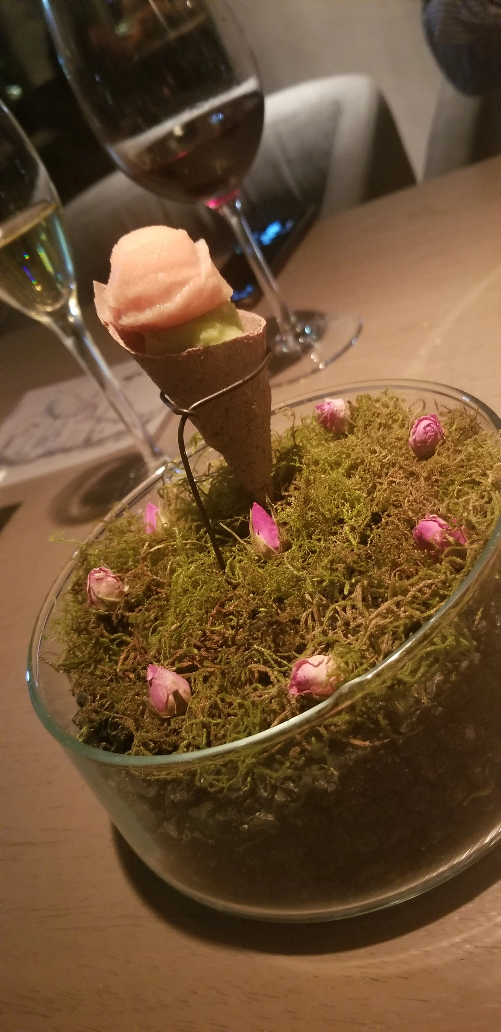 20190226_223247.jpg