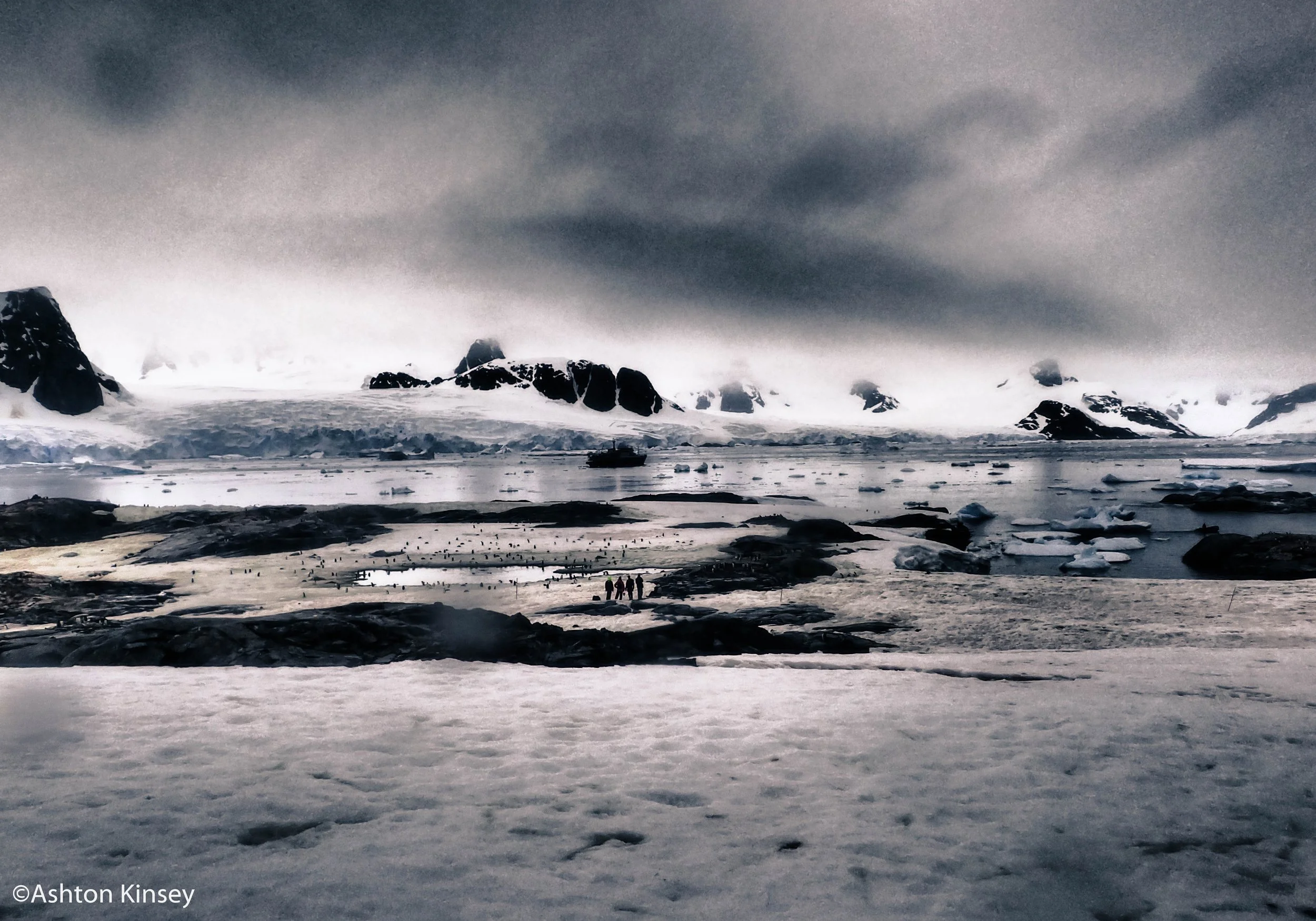 Petermann Island-6.jpg