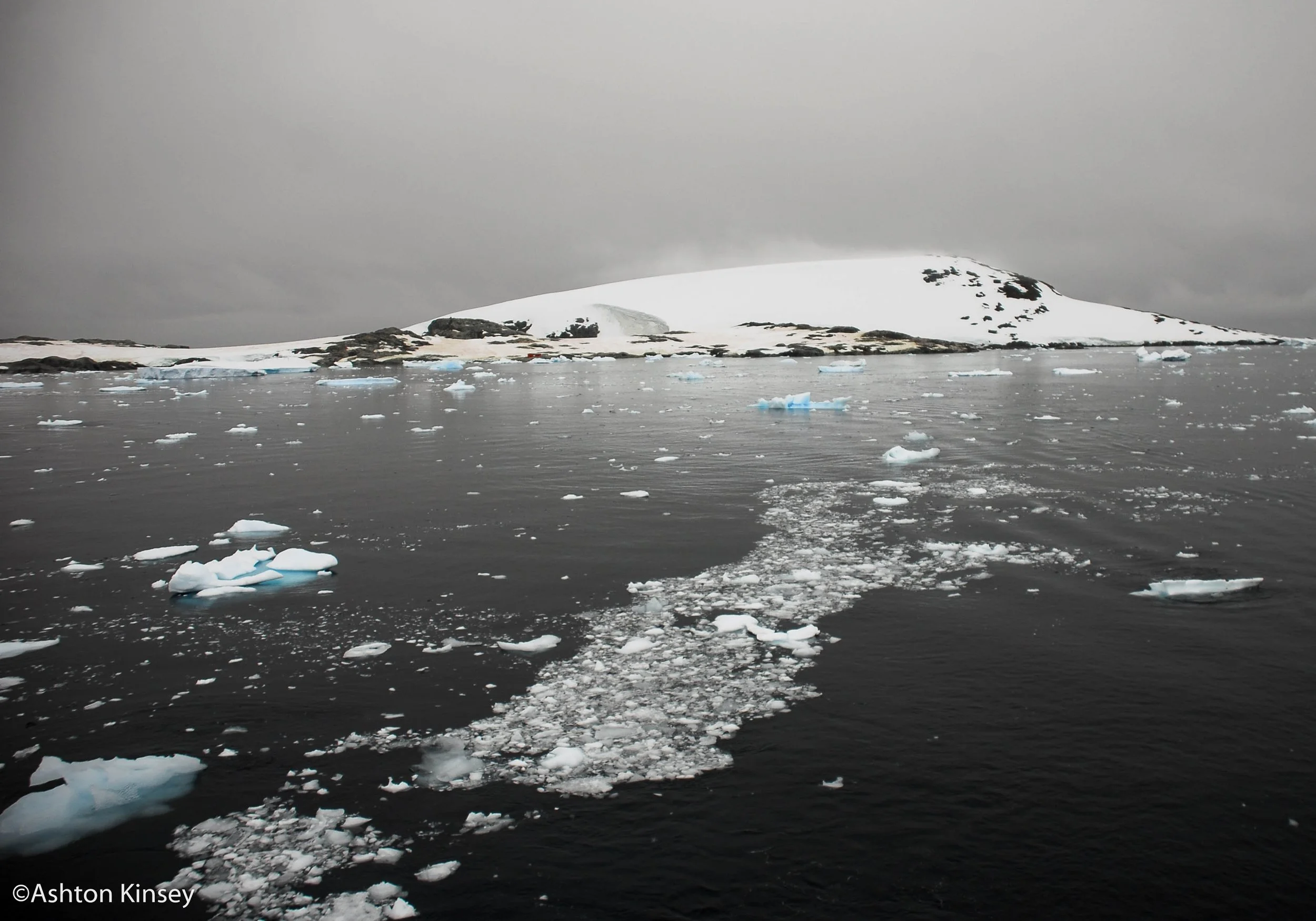 Petermann Island-9.jpg