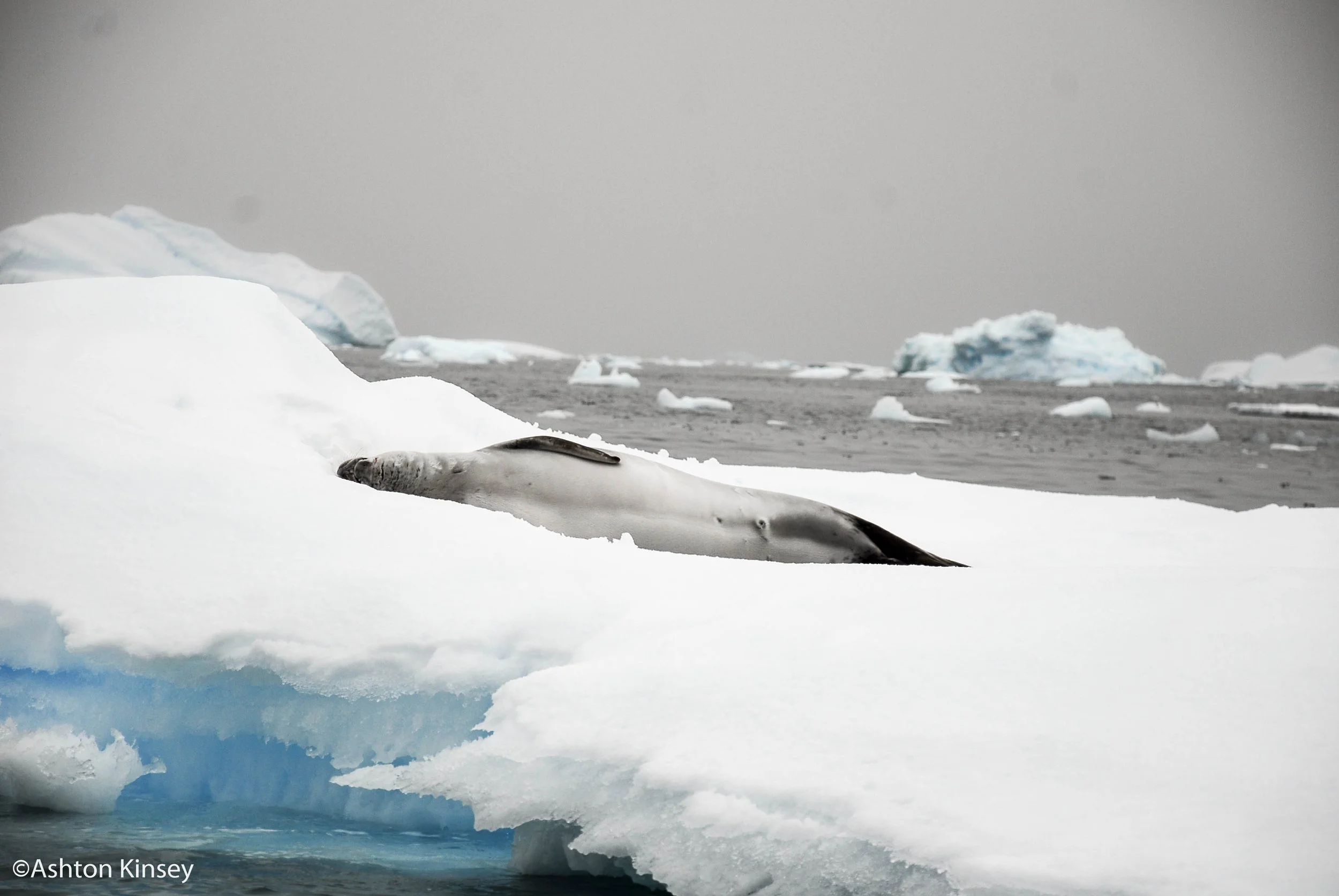South of the Polar Circle-5.jpg