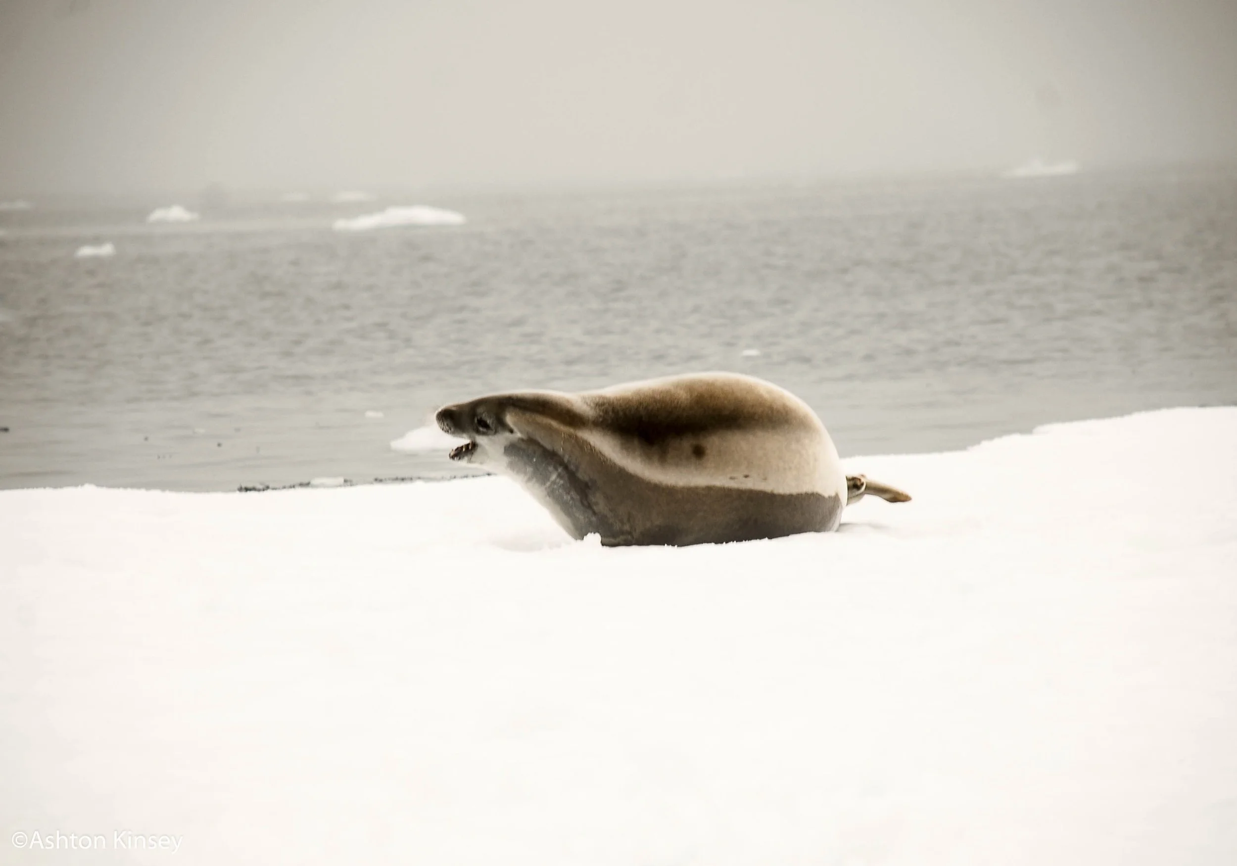 South of the Polar Circle-10.jpg