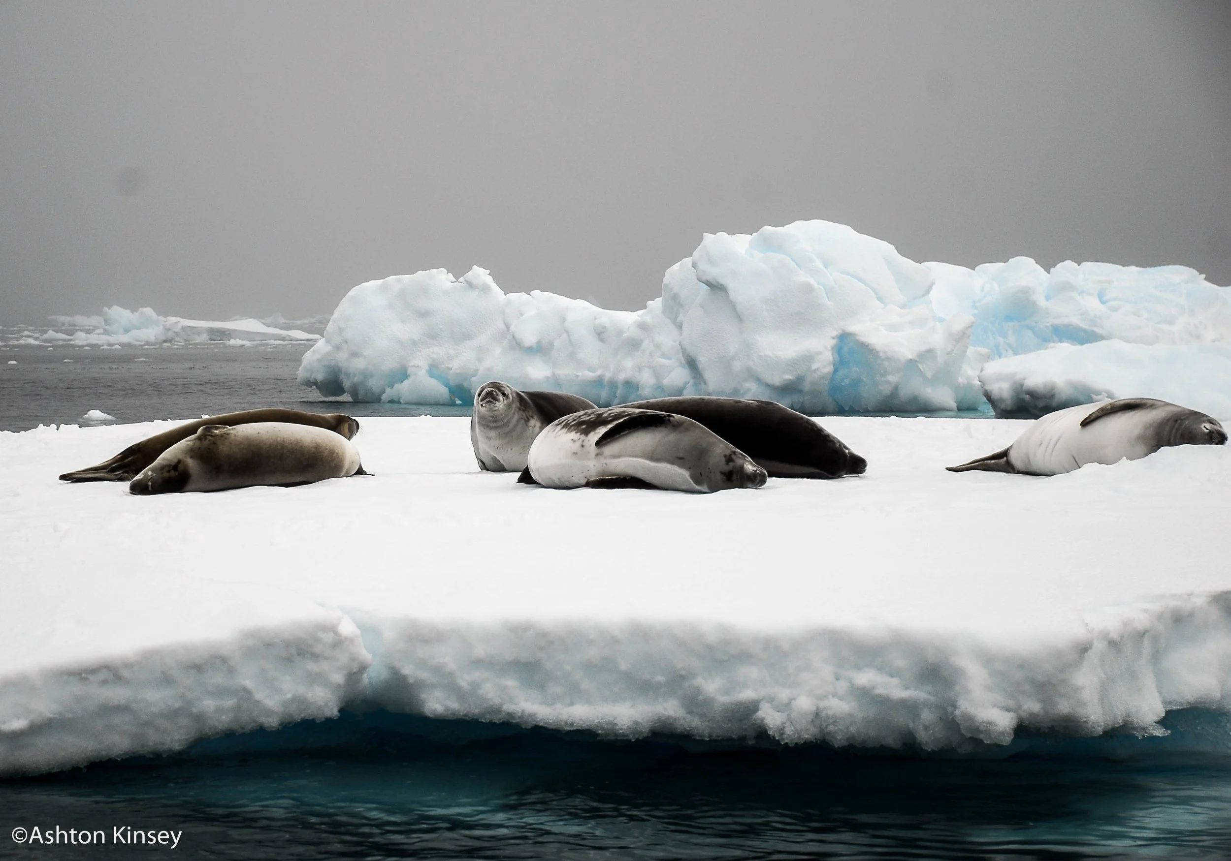 South of the Polar Circle-11.jpg