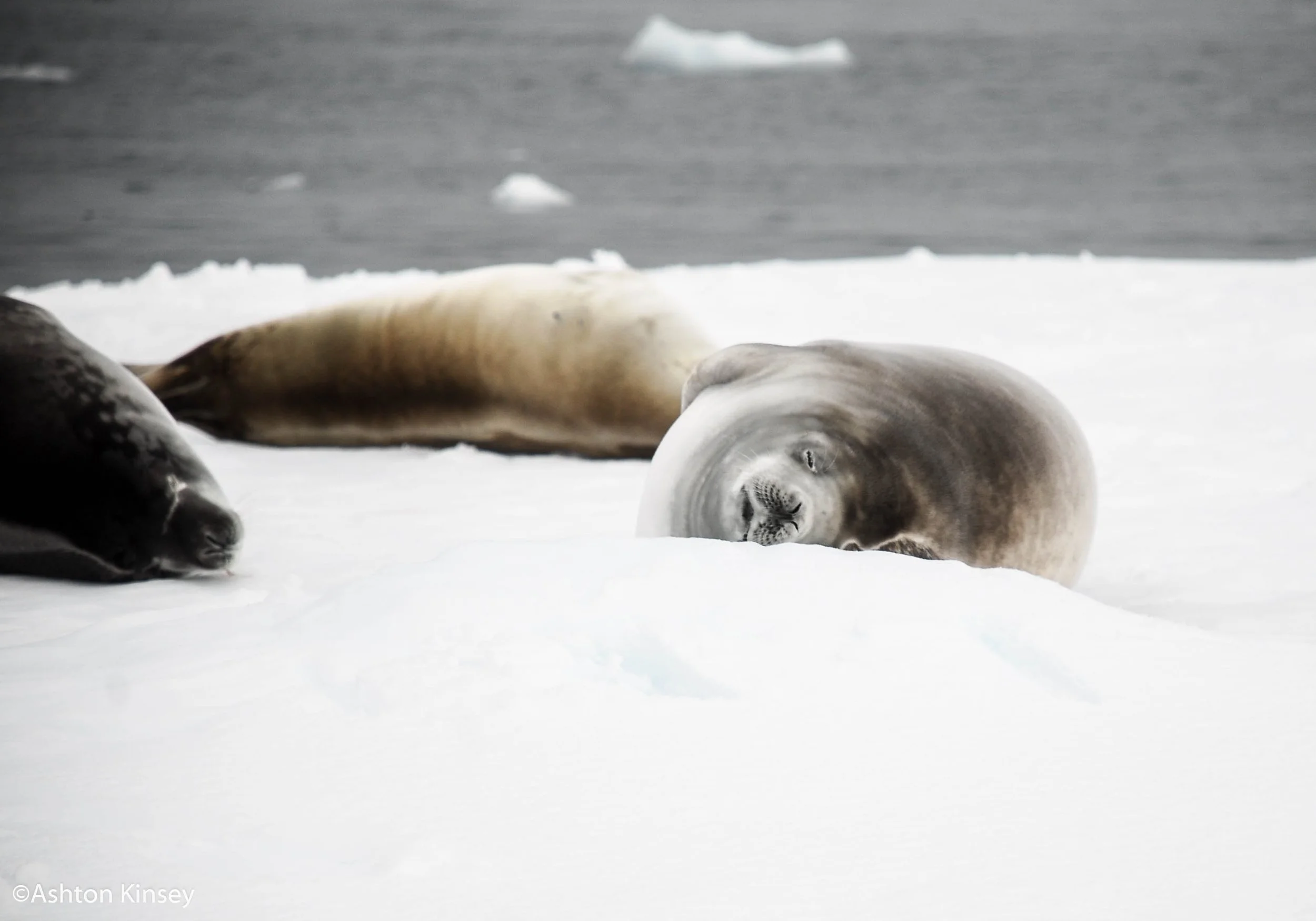 South of the Polar Circle-13.jpg