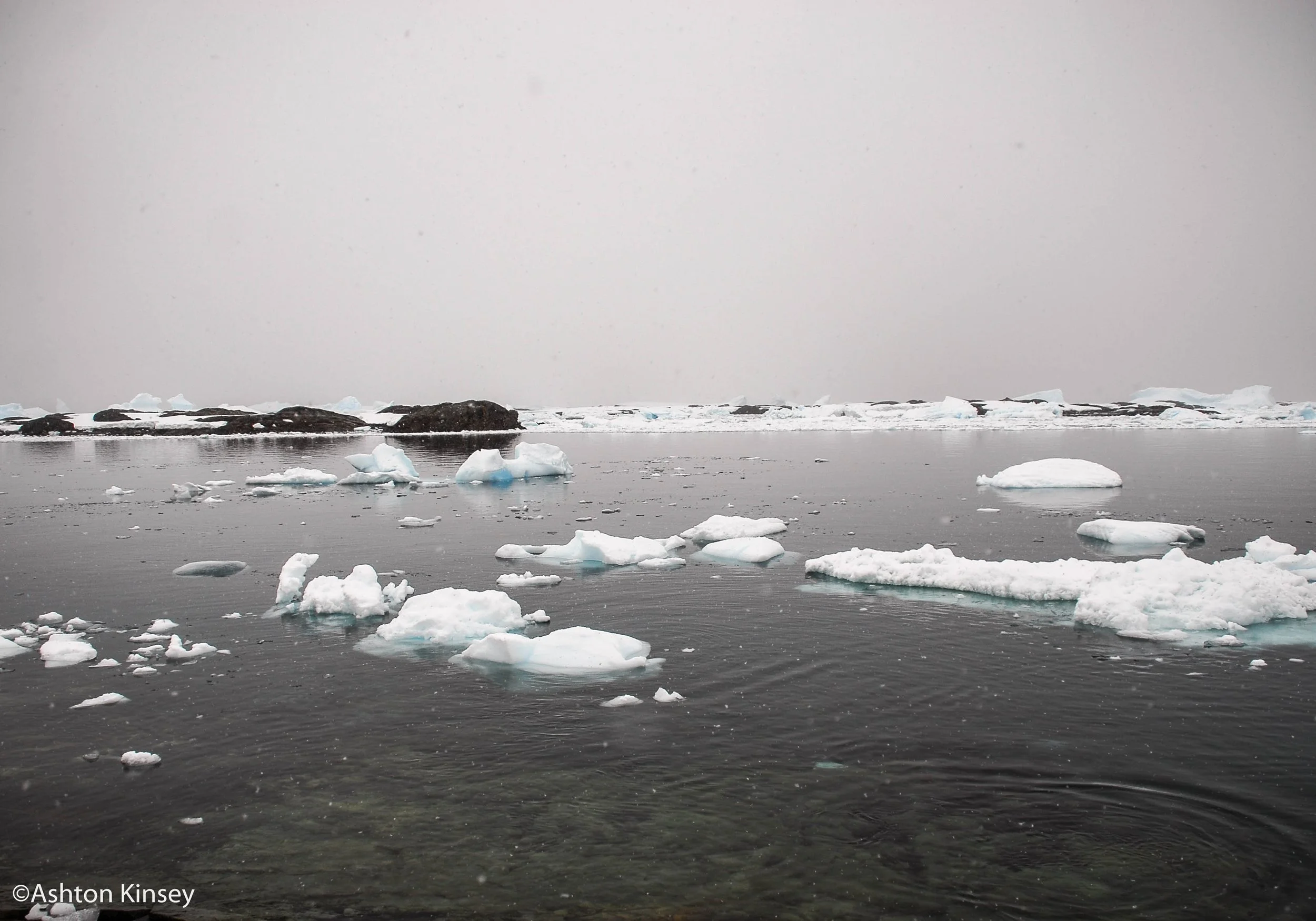 Yakorn Island-Vernasky-22.jpg
