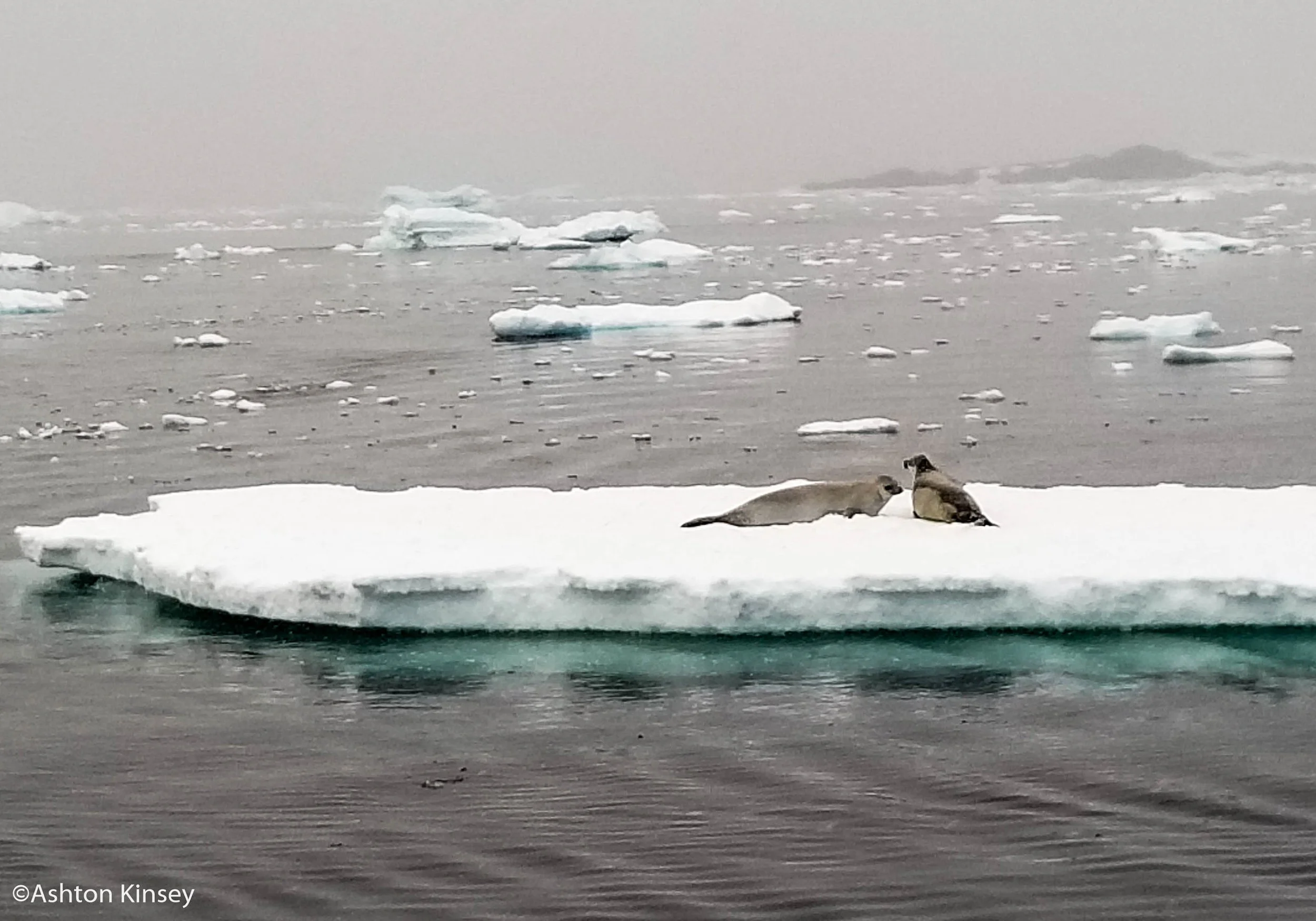 Yakorn Island-Vernasky-32.jpg
