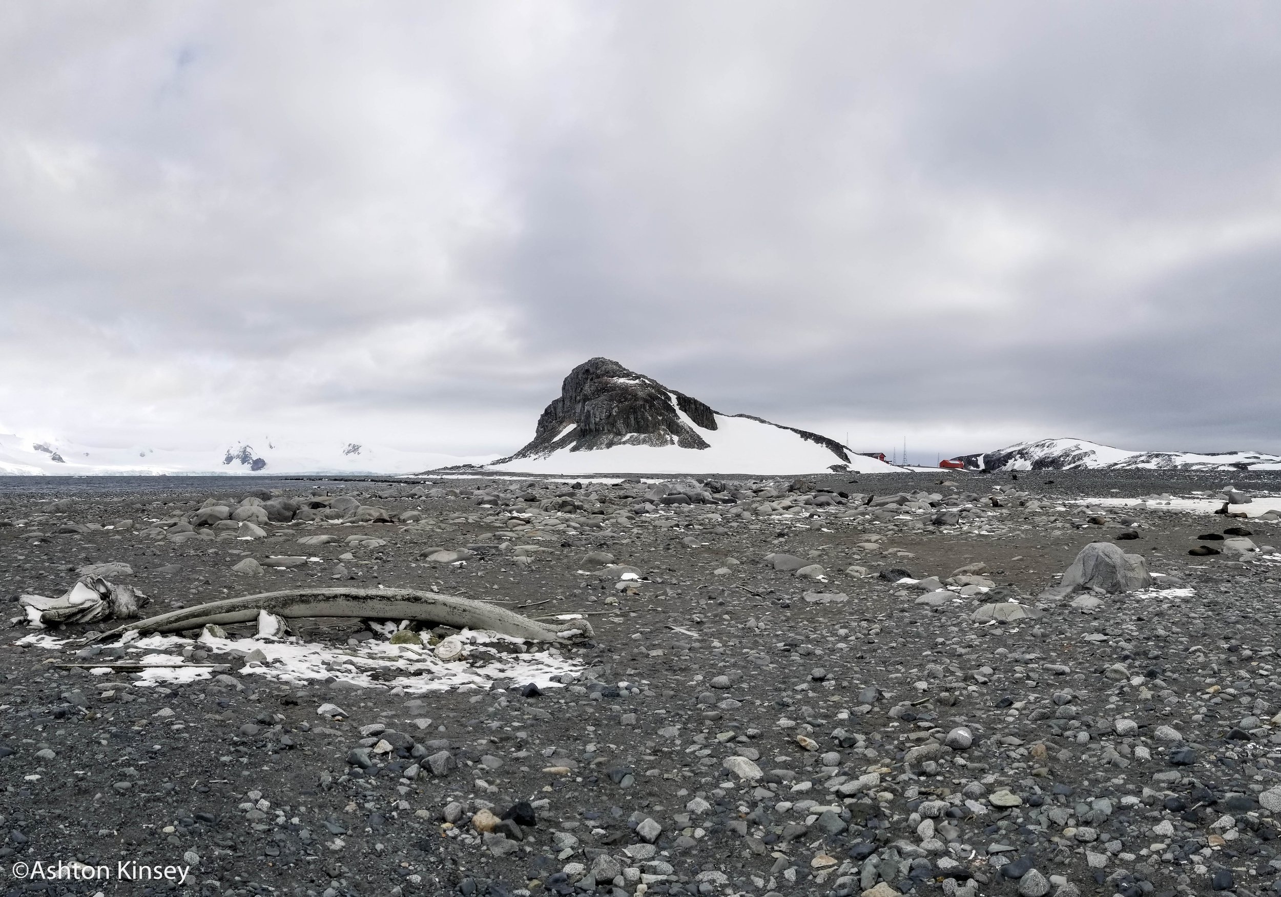 Half Moon-30.jpg