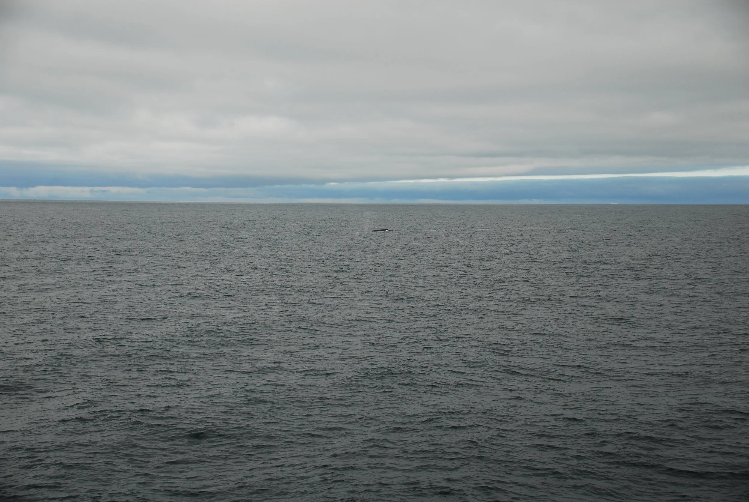 DSC_0008.JPG