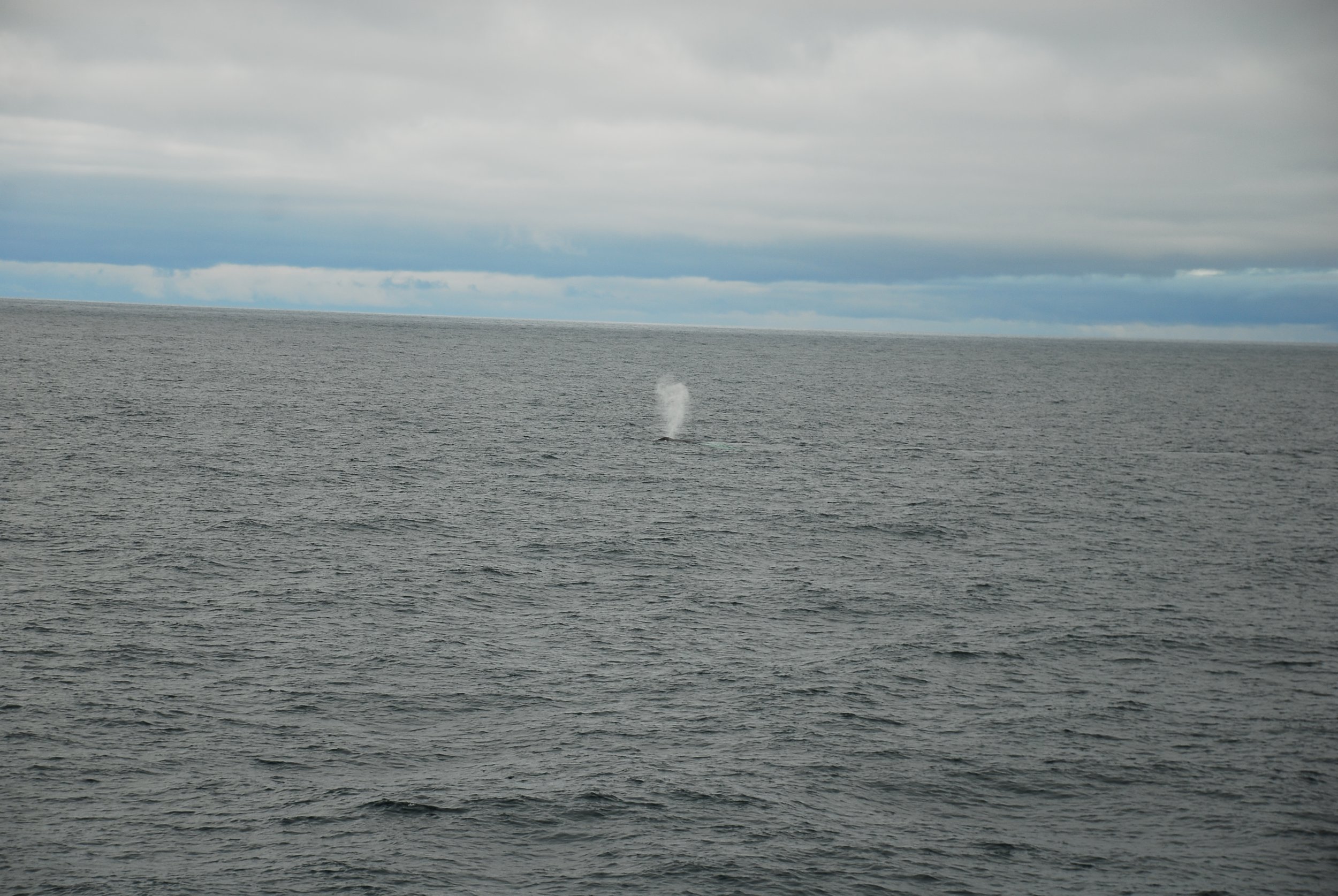 DSC_0011.JPG