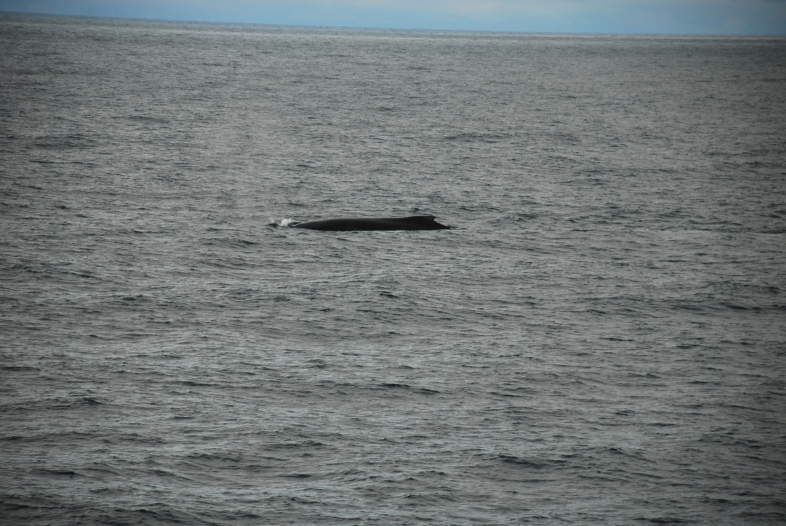 DSC_0021.JPG