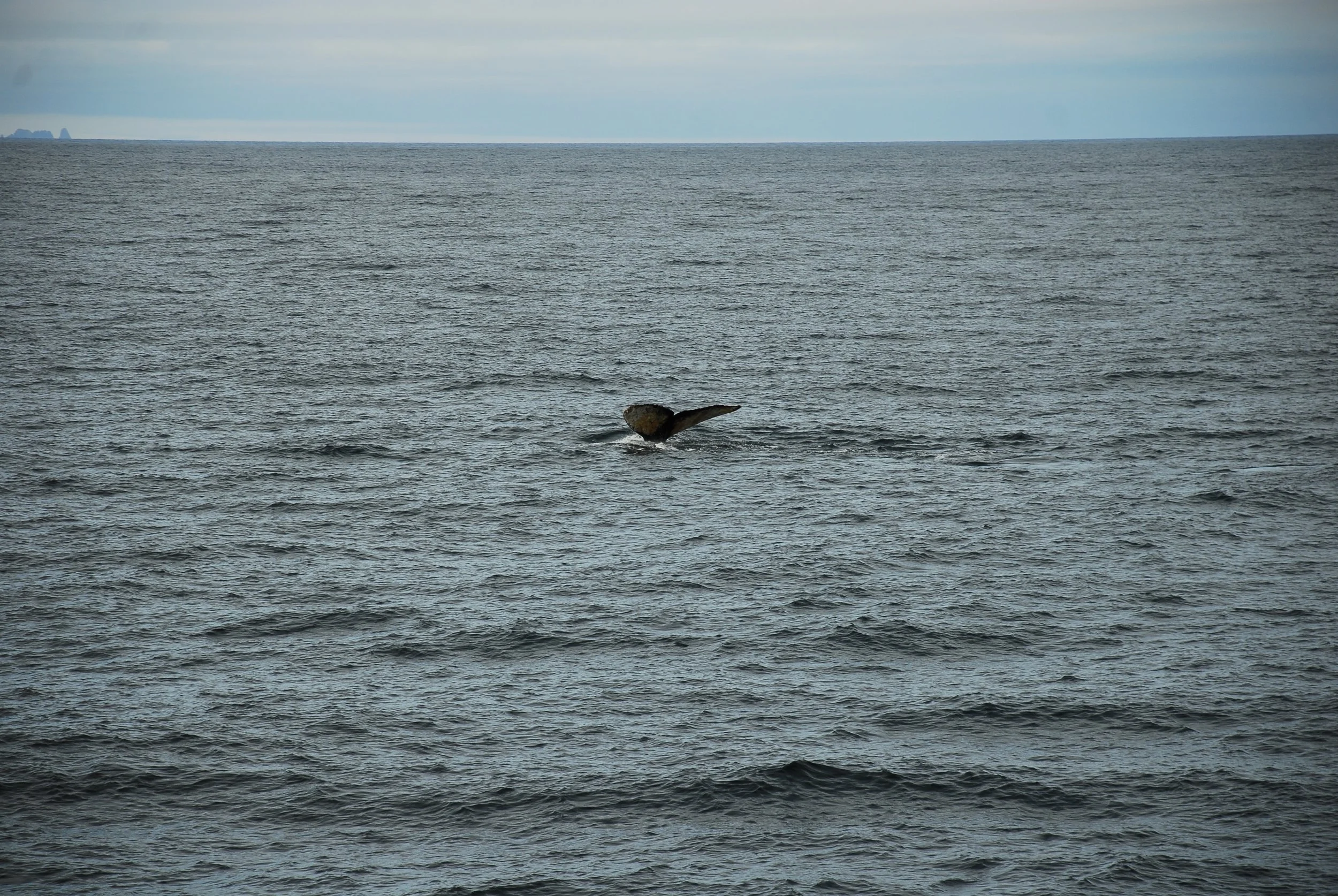 DSC_0035.JPG