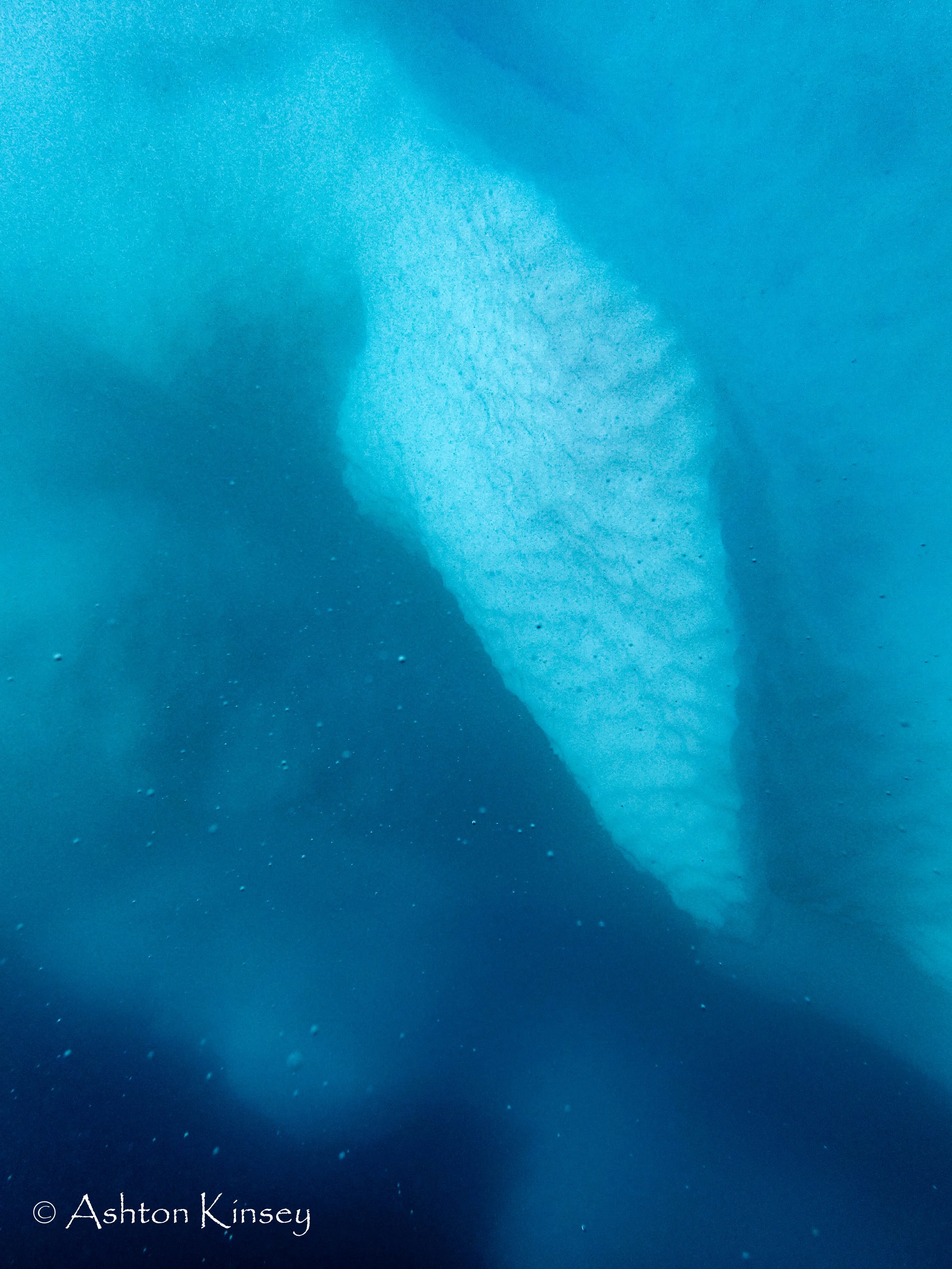 Antartica Dive 1-2.jpg