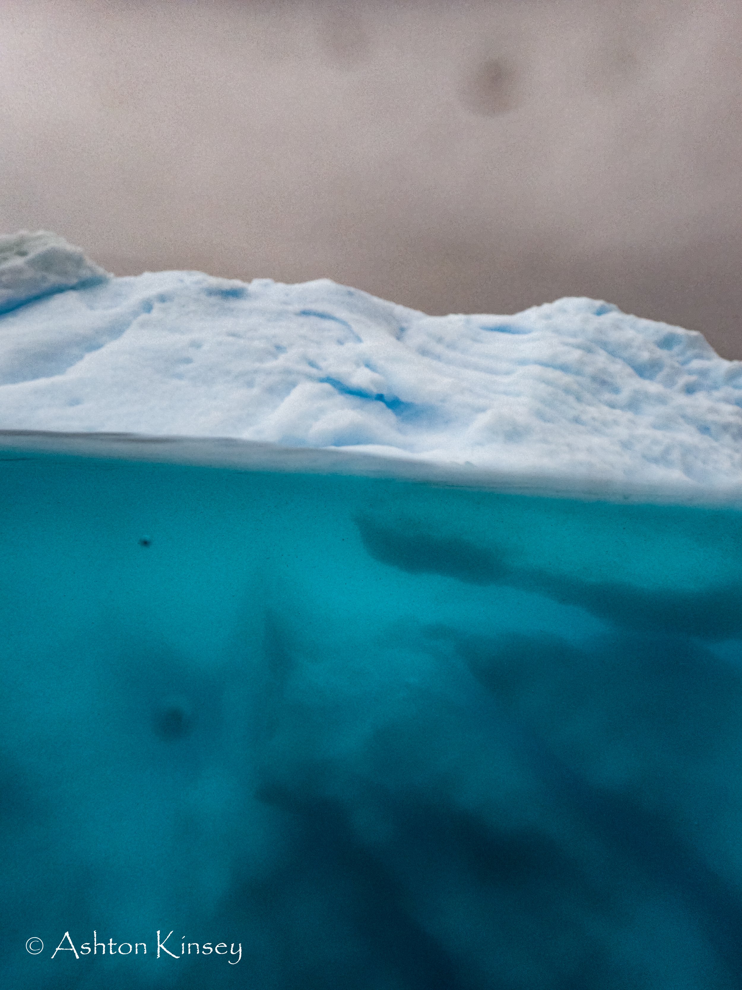 Antartica Dive 1-5.jpg