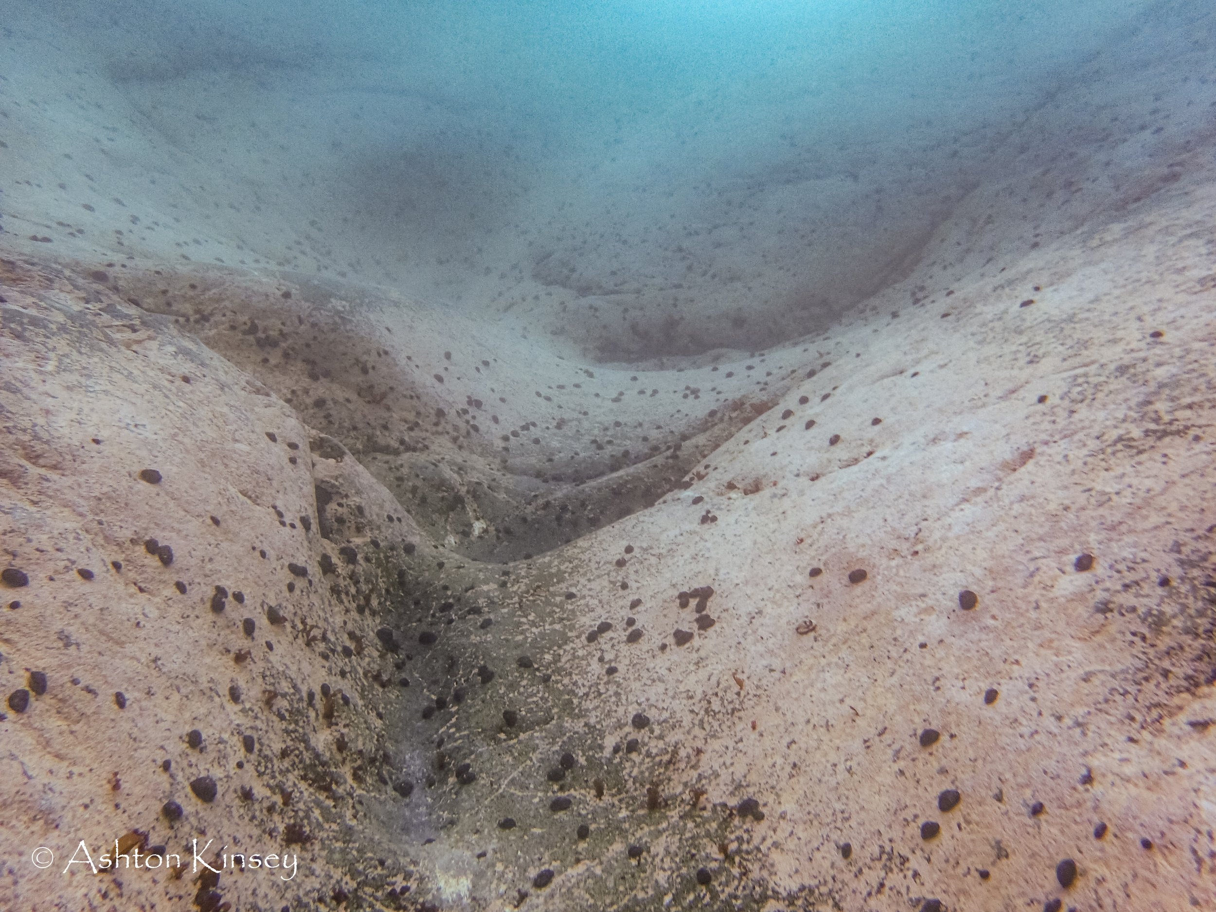 Antartica Dive 3.jpg