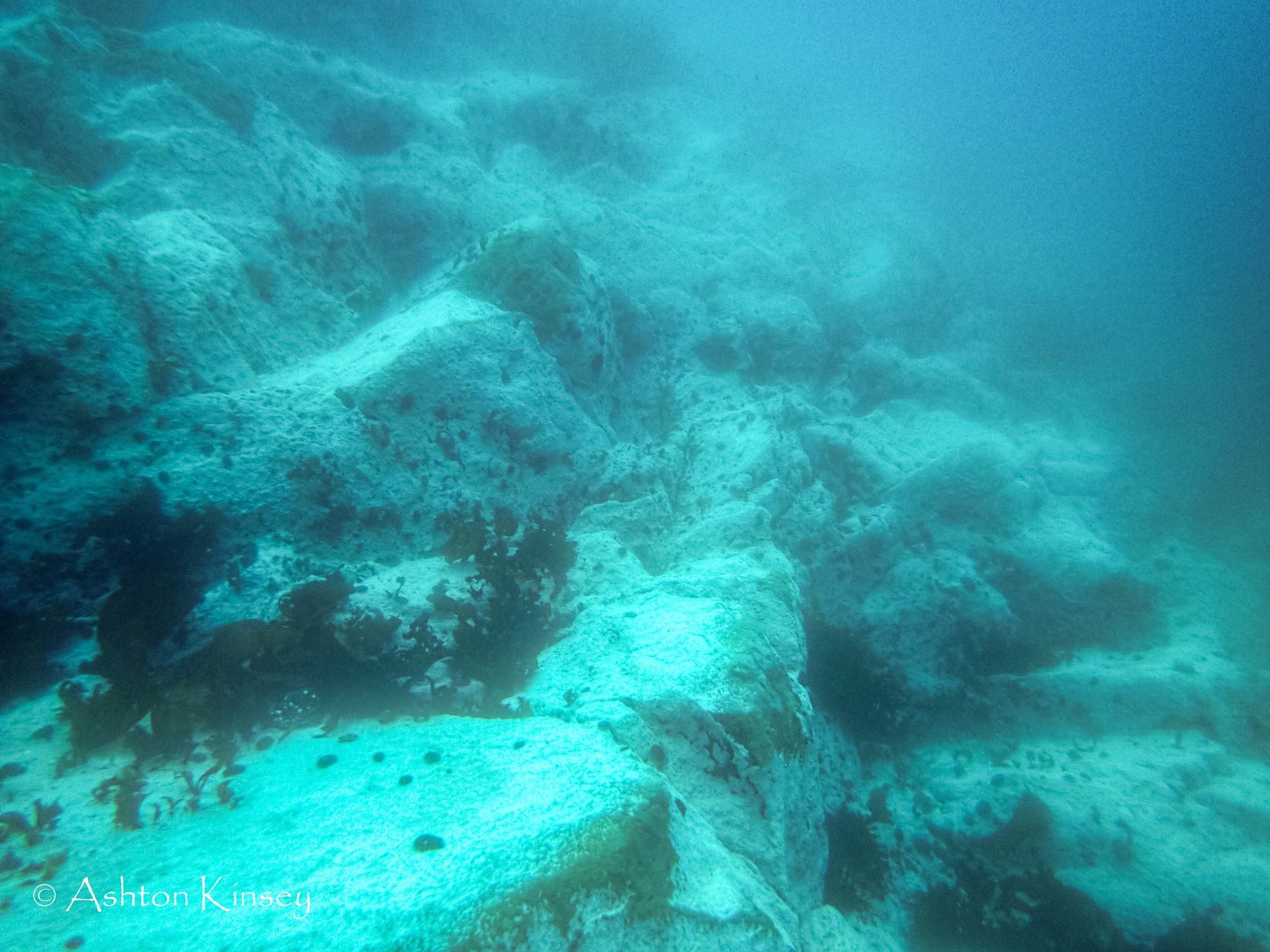 Antartica Dive 3-2.jpg