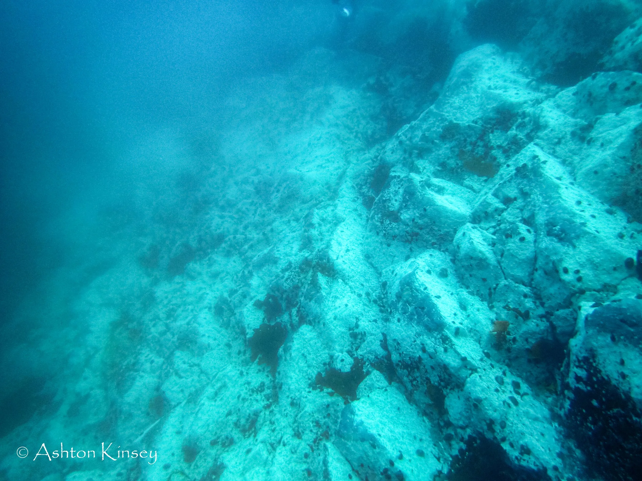 Antartica Dive 3-5.jpg