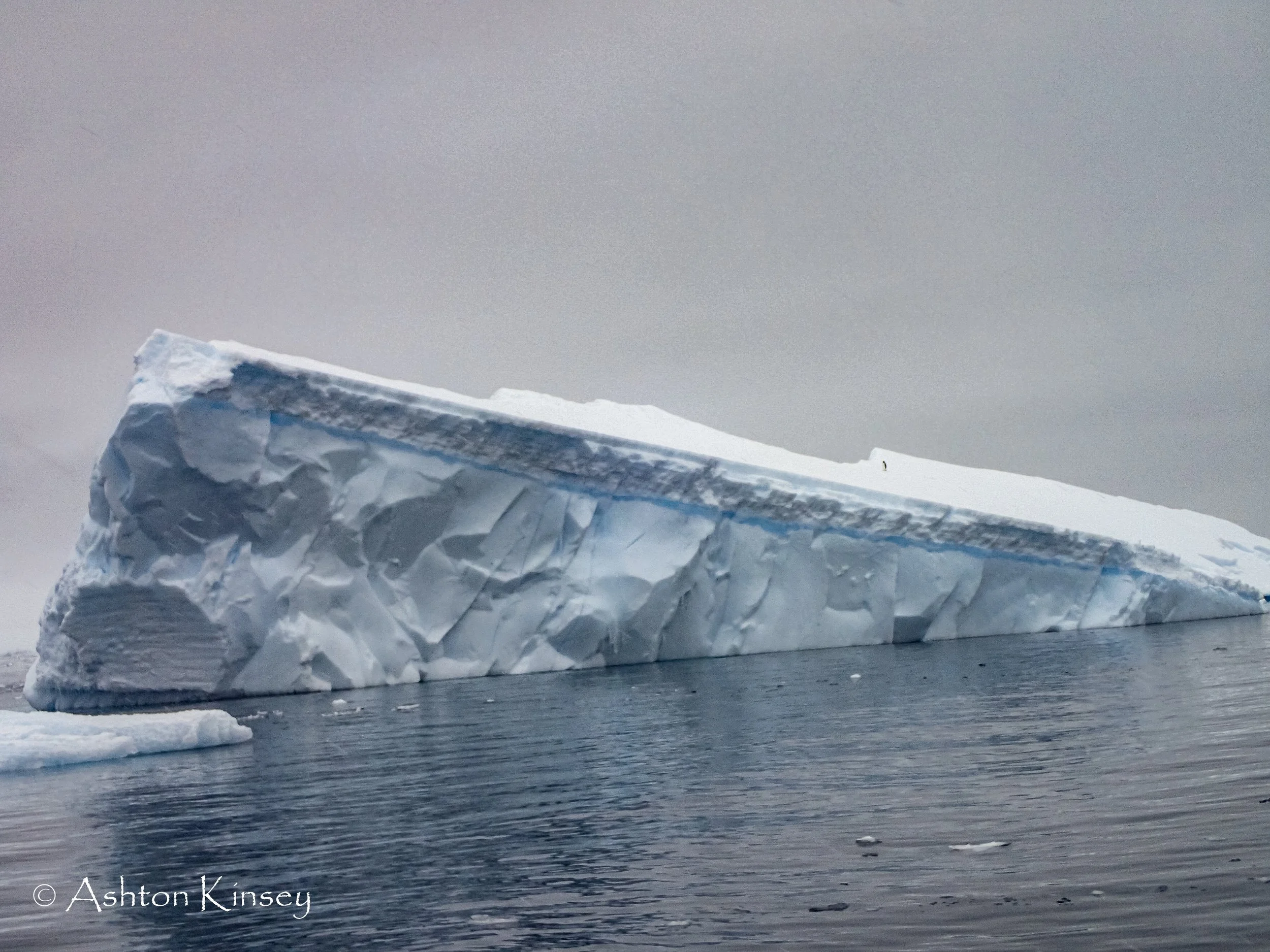 Antartica Dive 3-8.jpg
