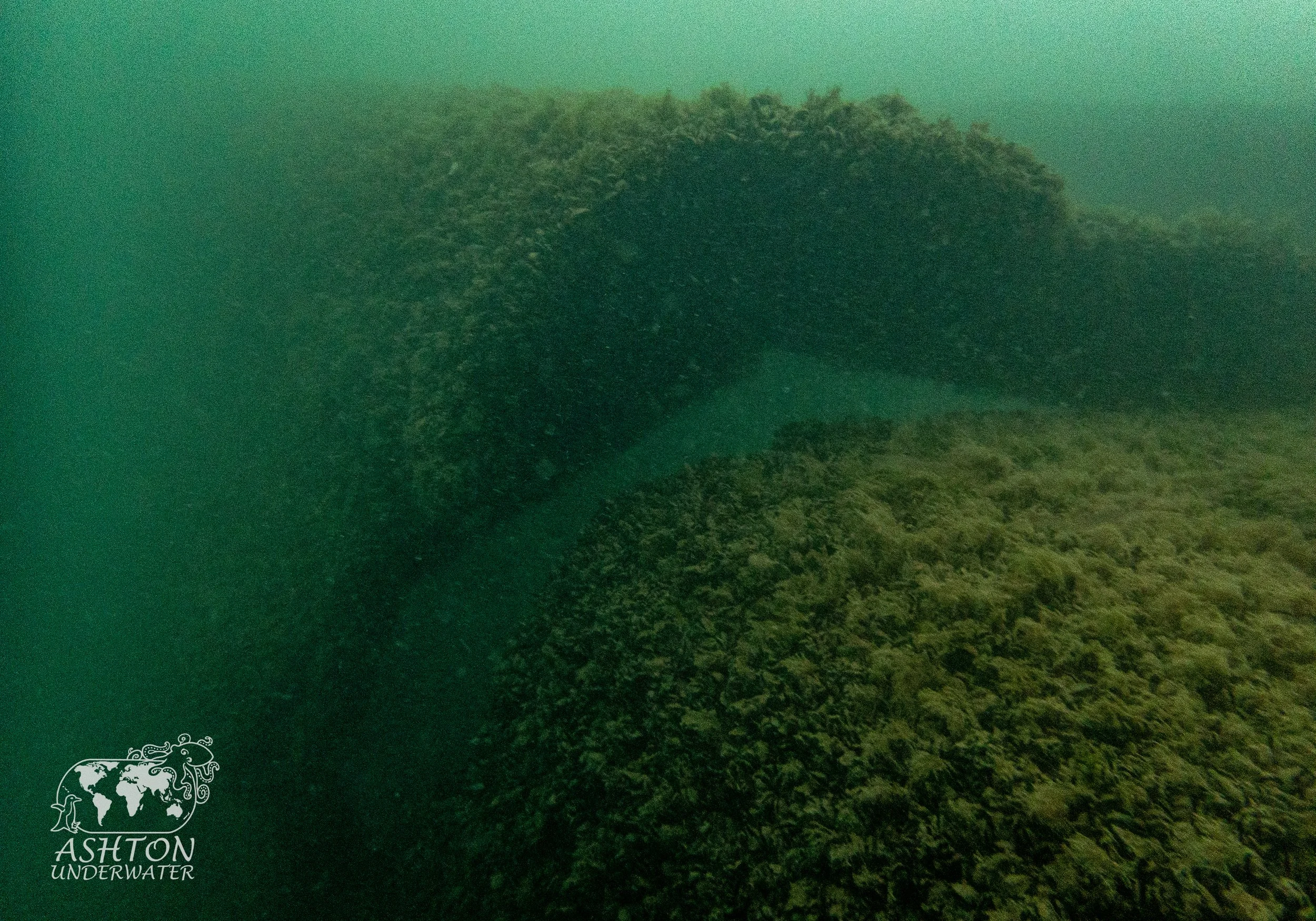 MSB-2.jpg