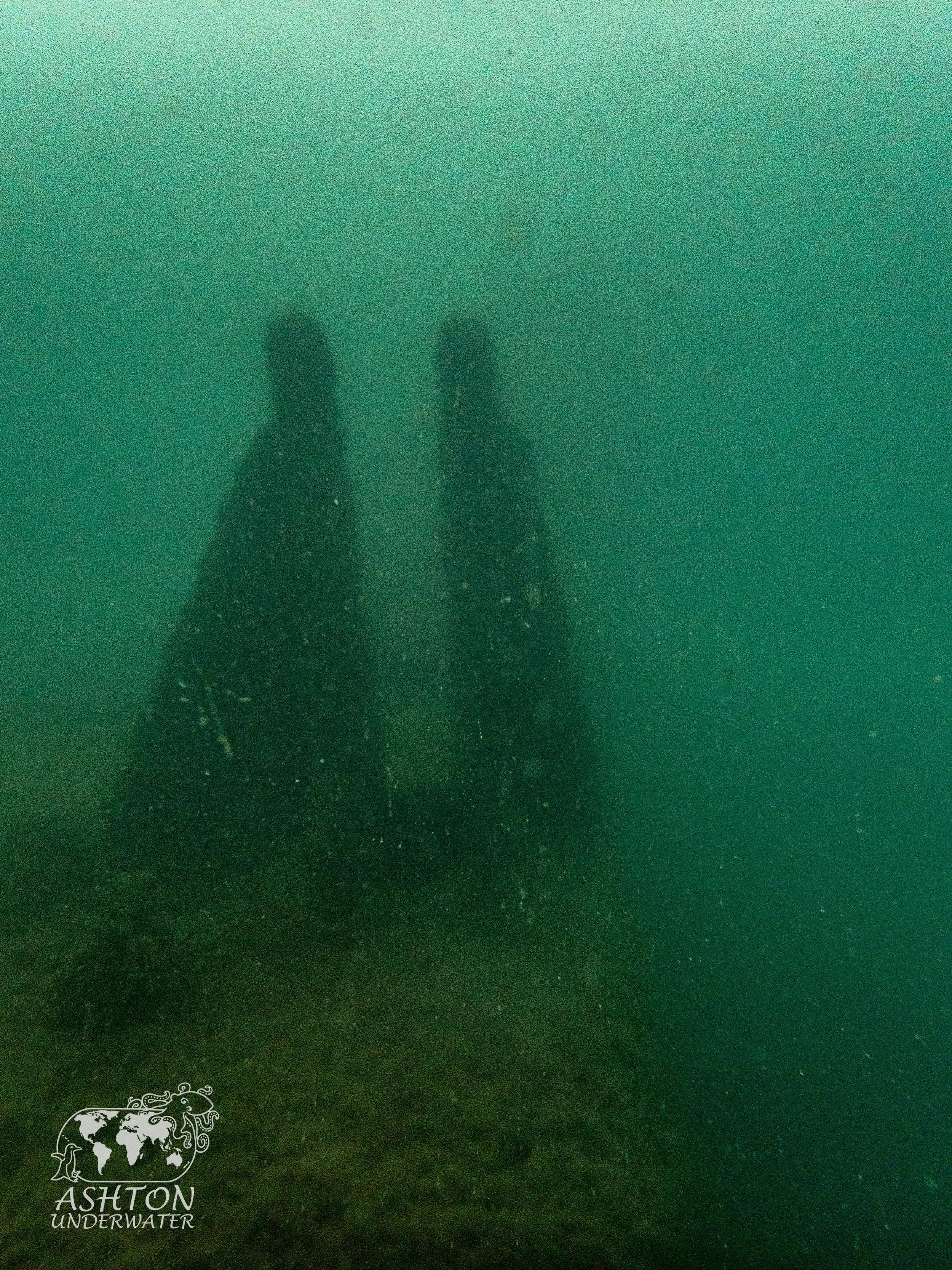 MSB-10.jpg