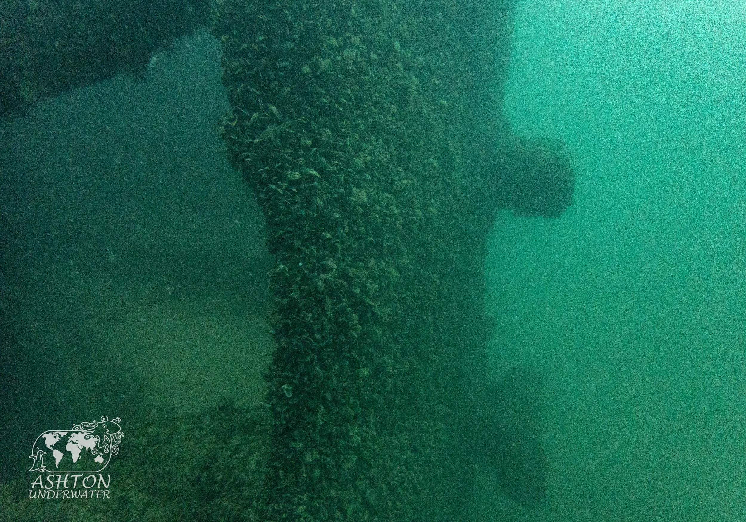 MSB-14.jpg
