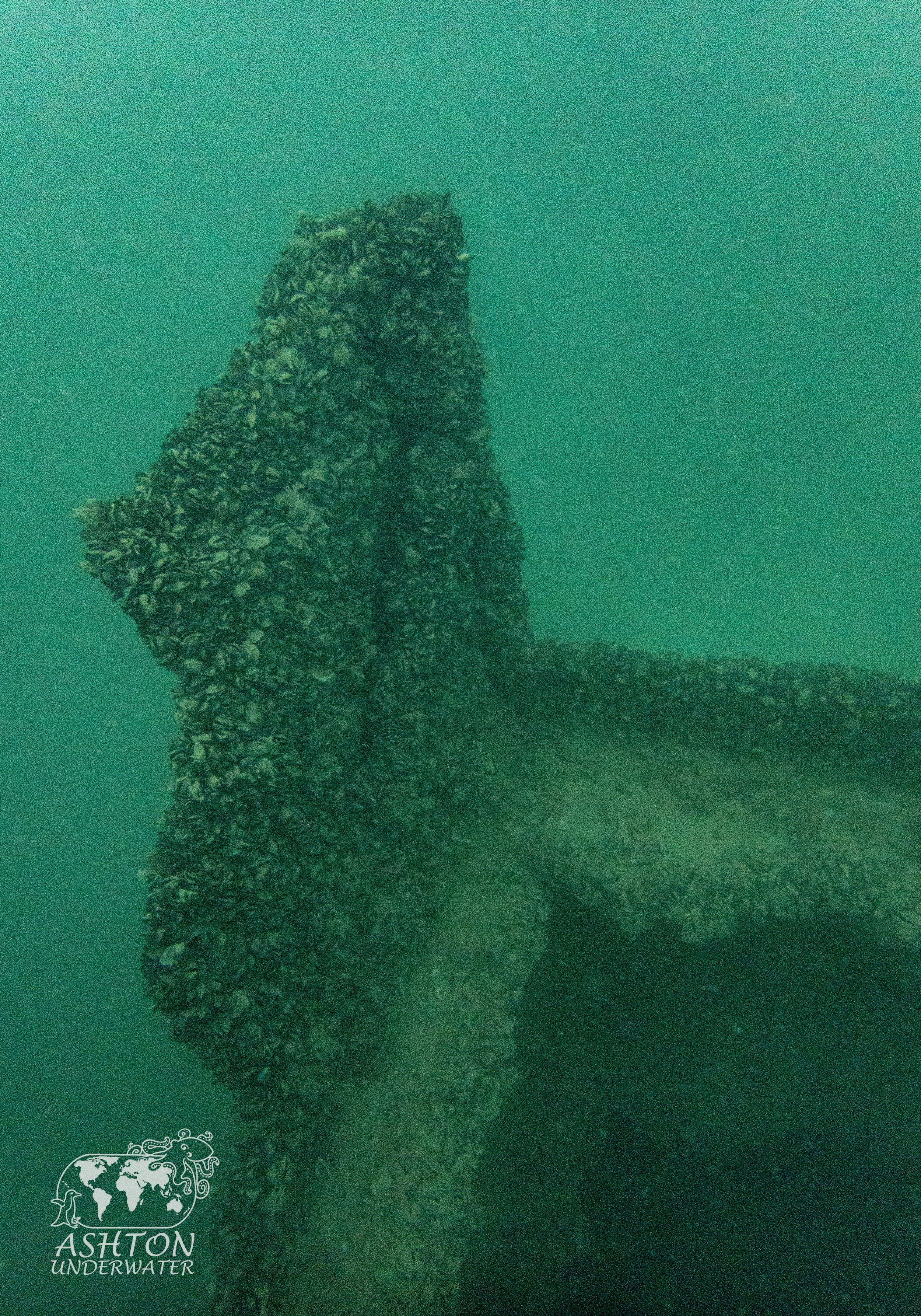 MSB-16.jpg