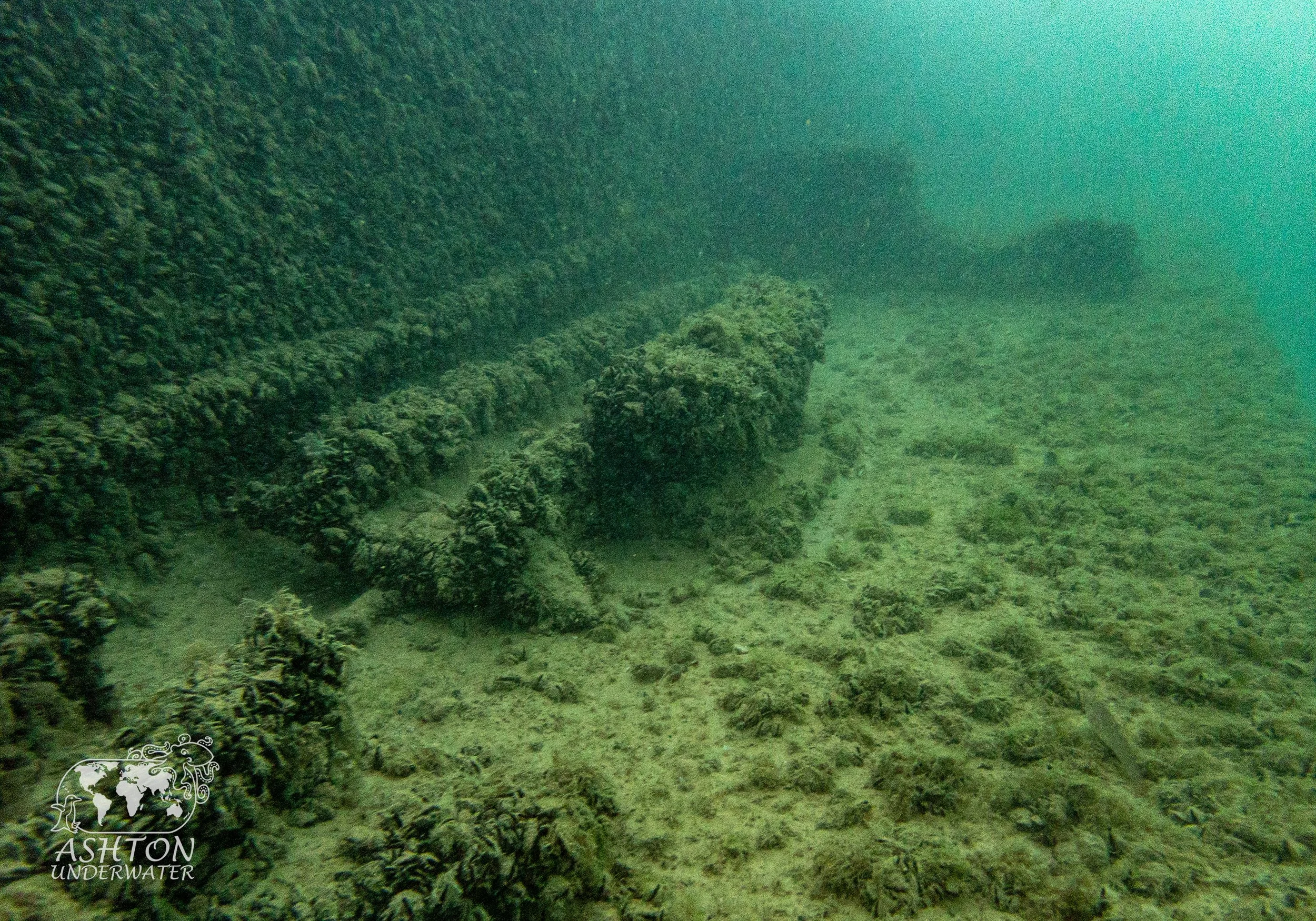 MSB-25.jpg