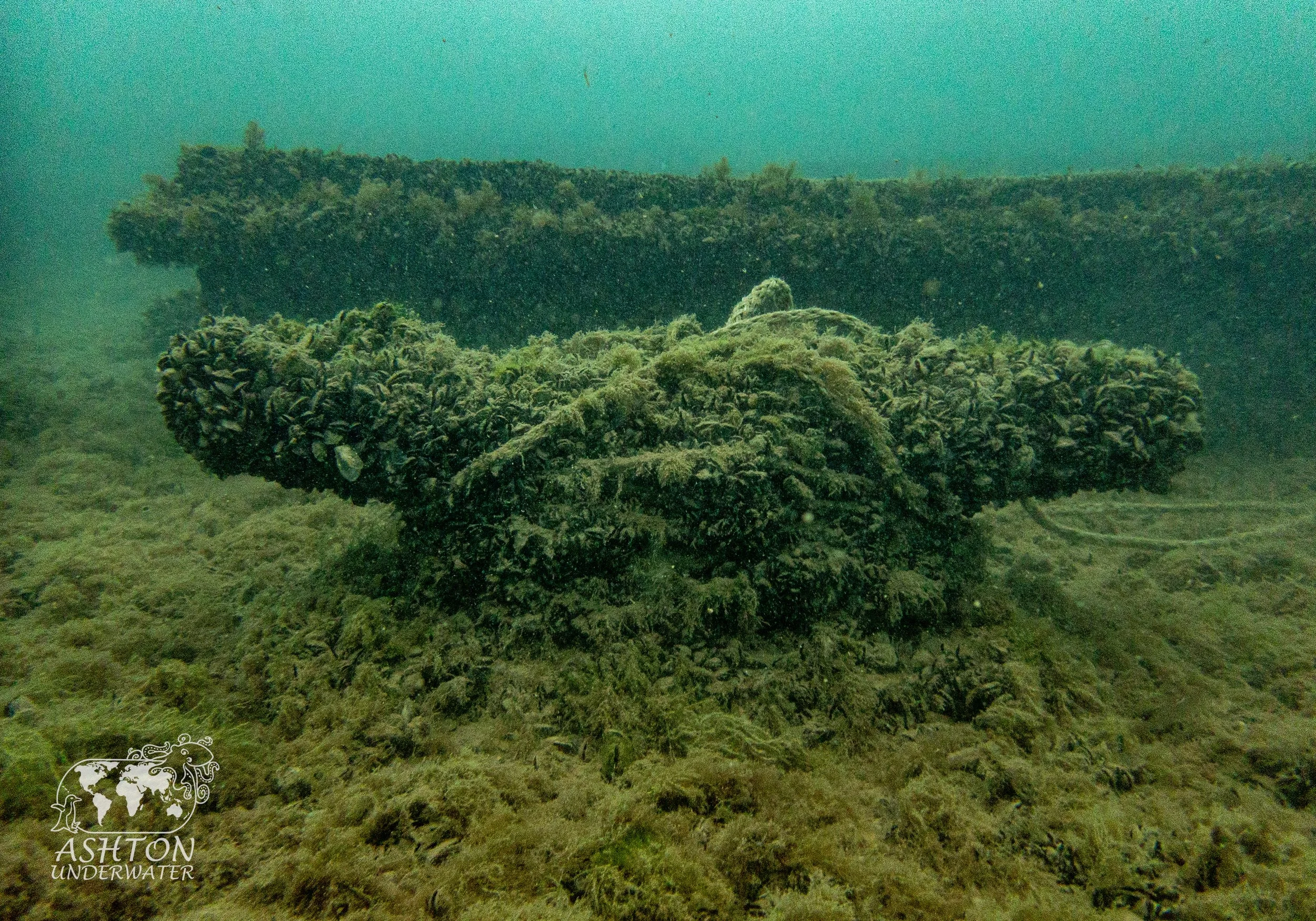 MSB-28.jpg