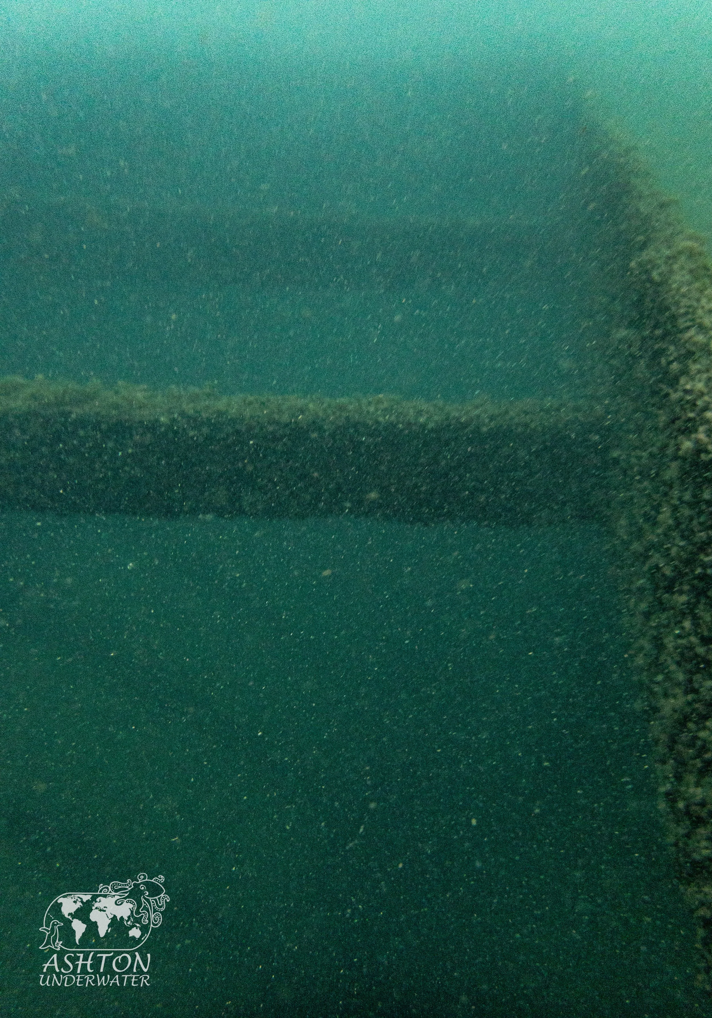 MSB-29.jpg