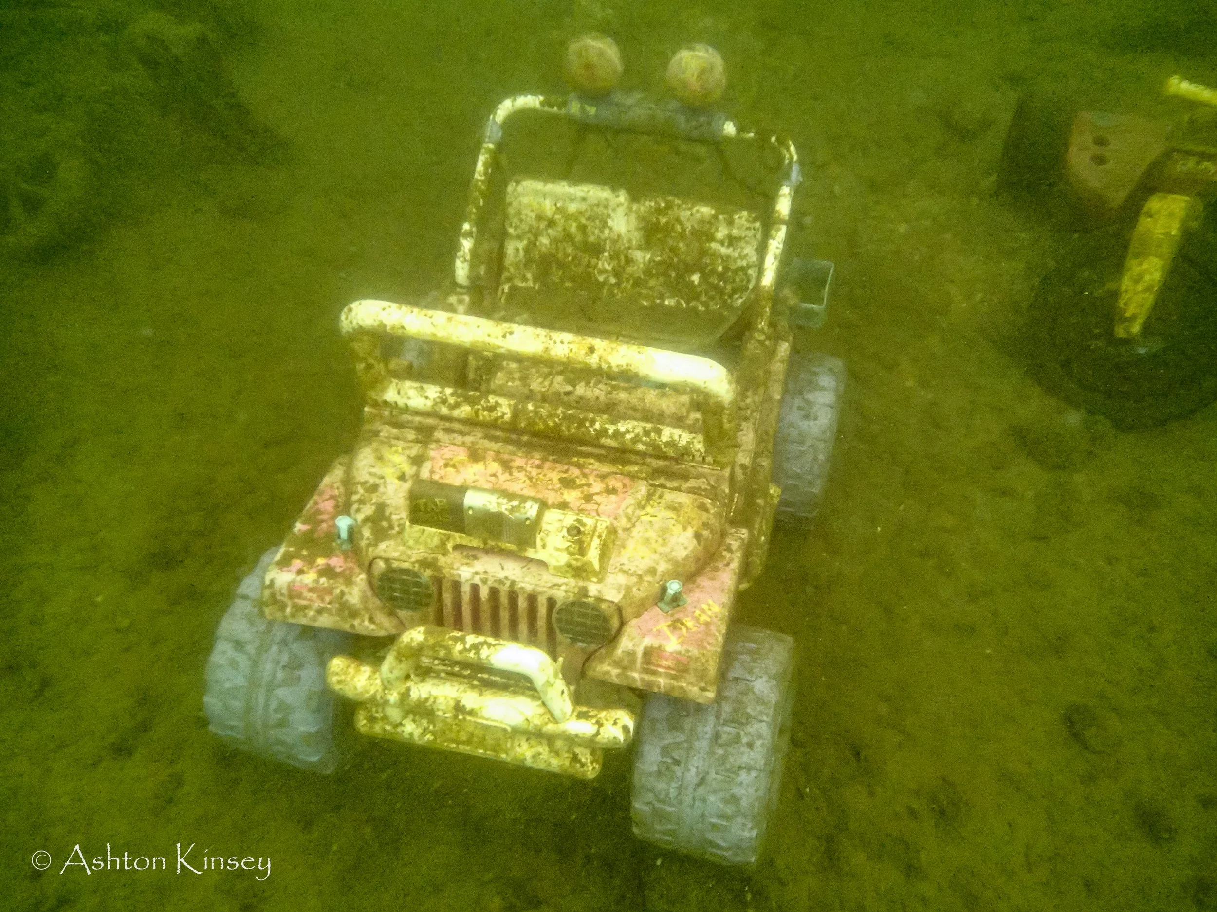 Illinois: Haigh Quarry 2013