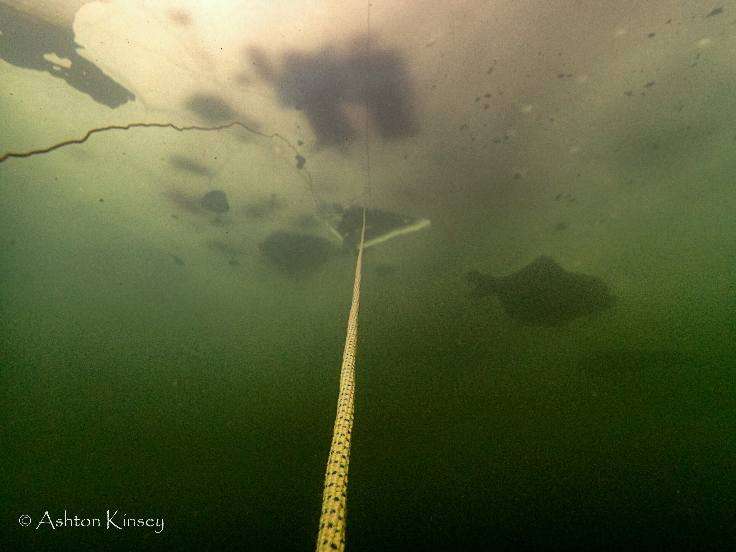 Illinois: Haigh Quarry 2014