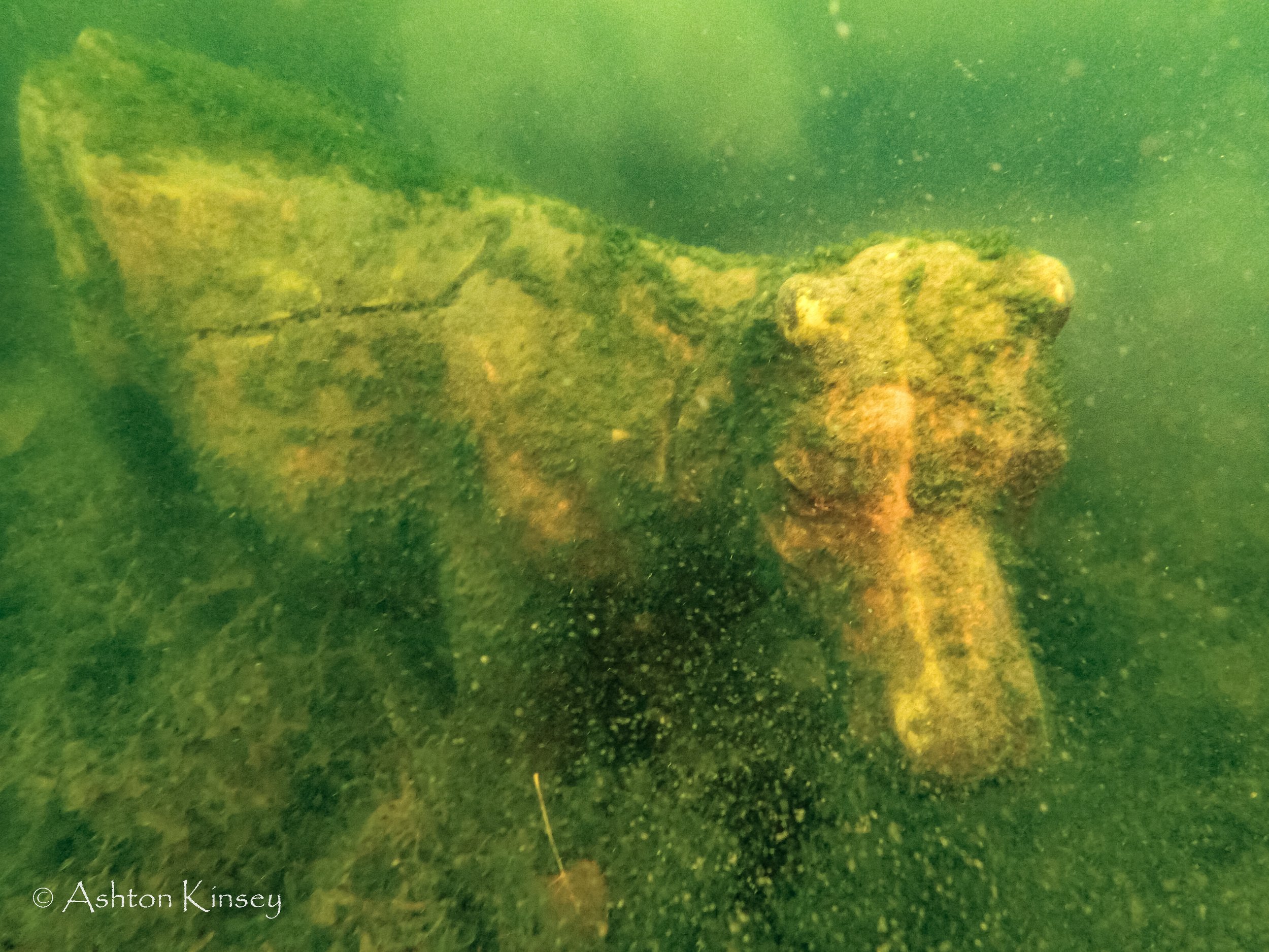 Illinois: Haigh Quarry 2023