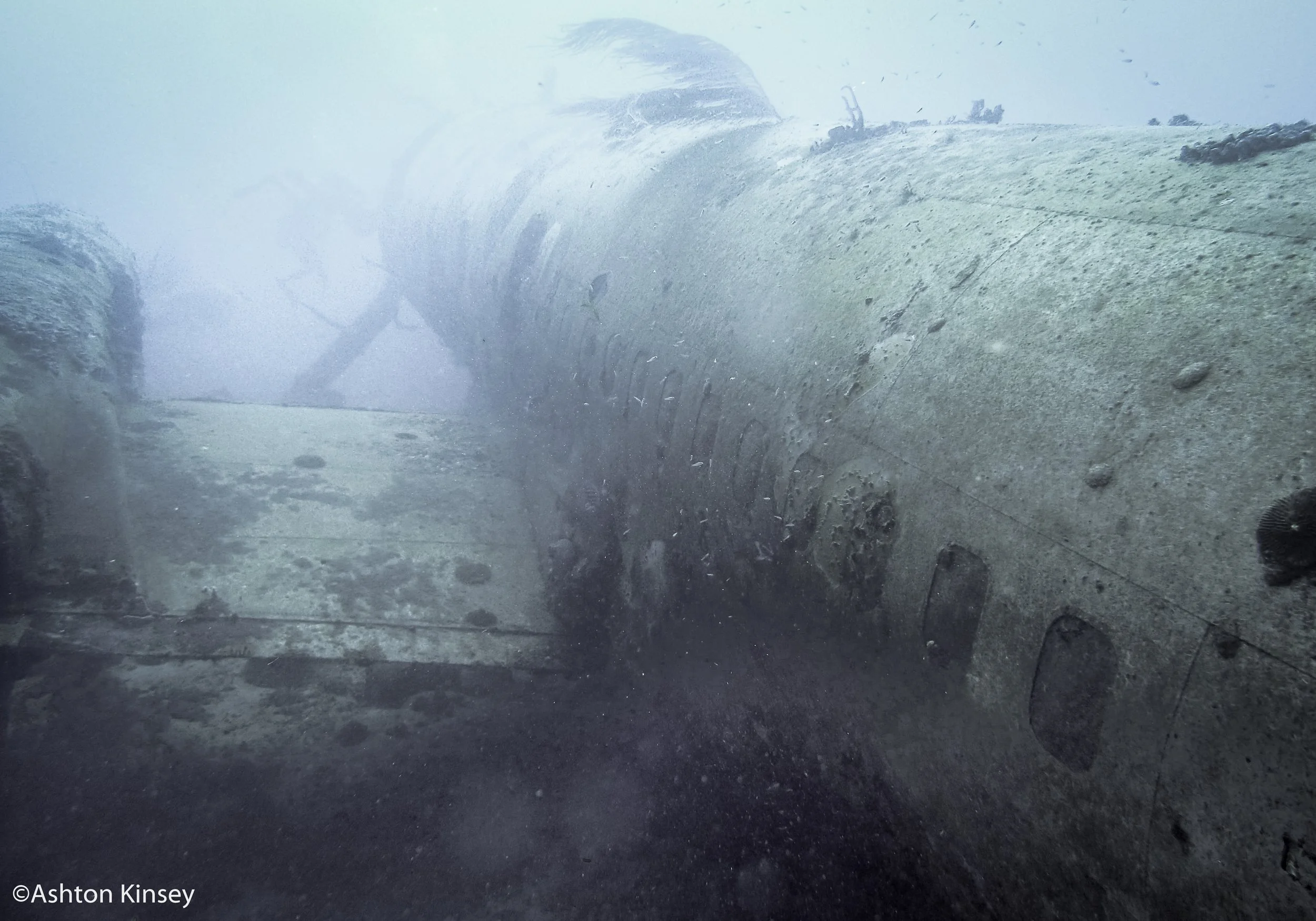 Dive 1 plane-5.jpg