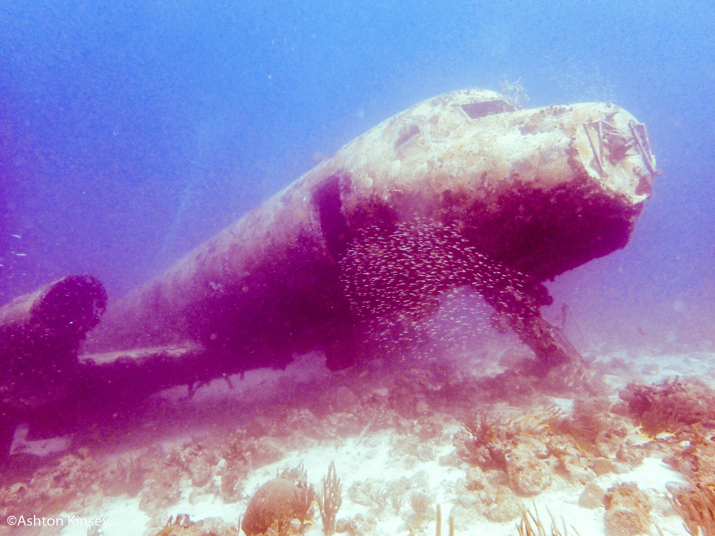 Dive 1 plane-4.jpg