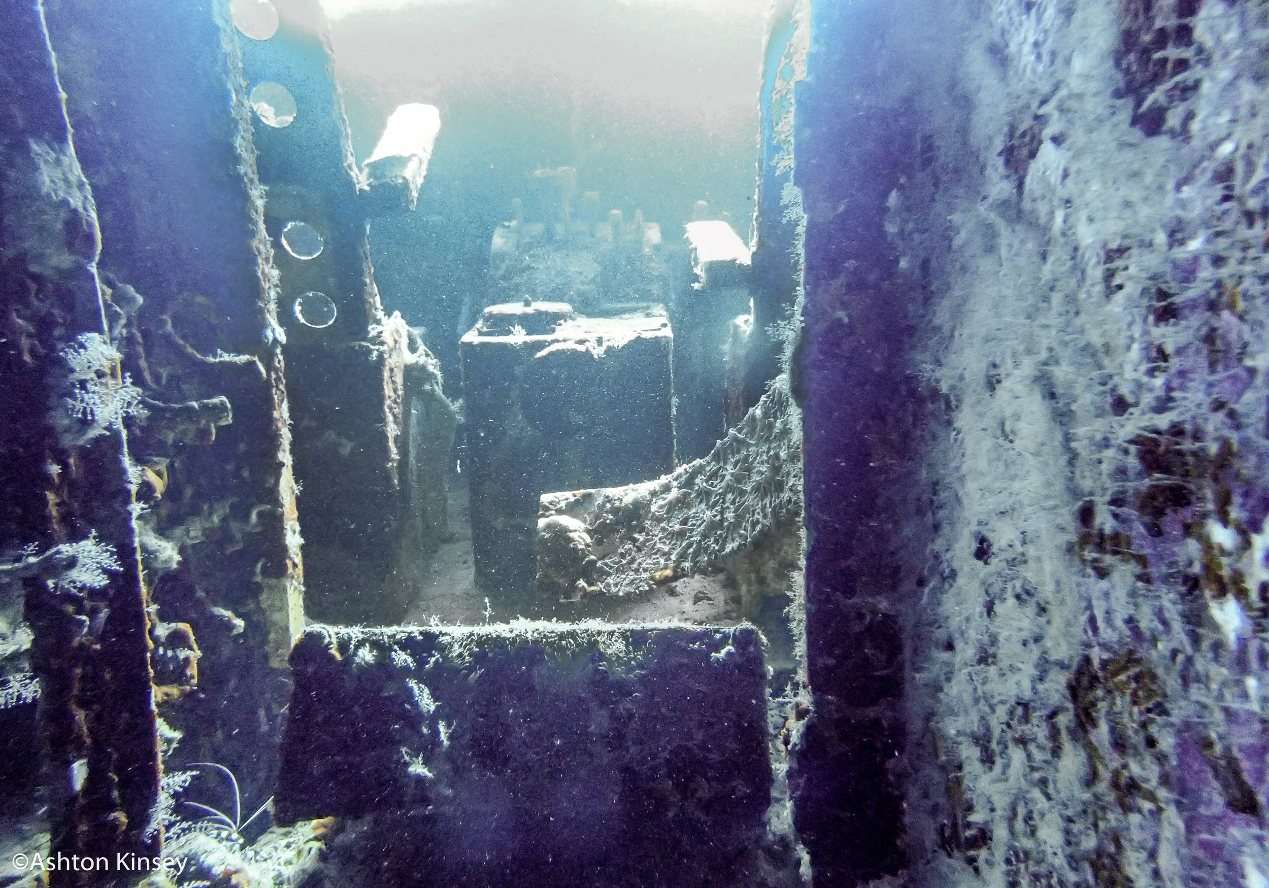 Dive 1 plane-7.jpg