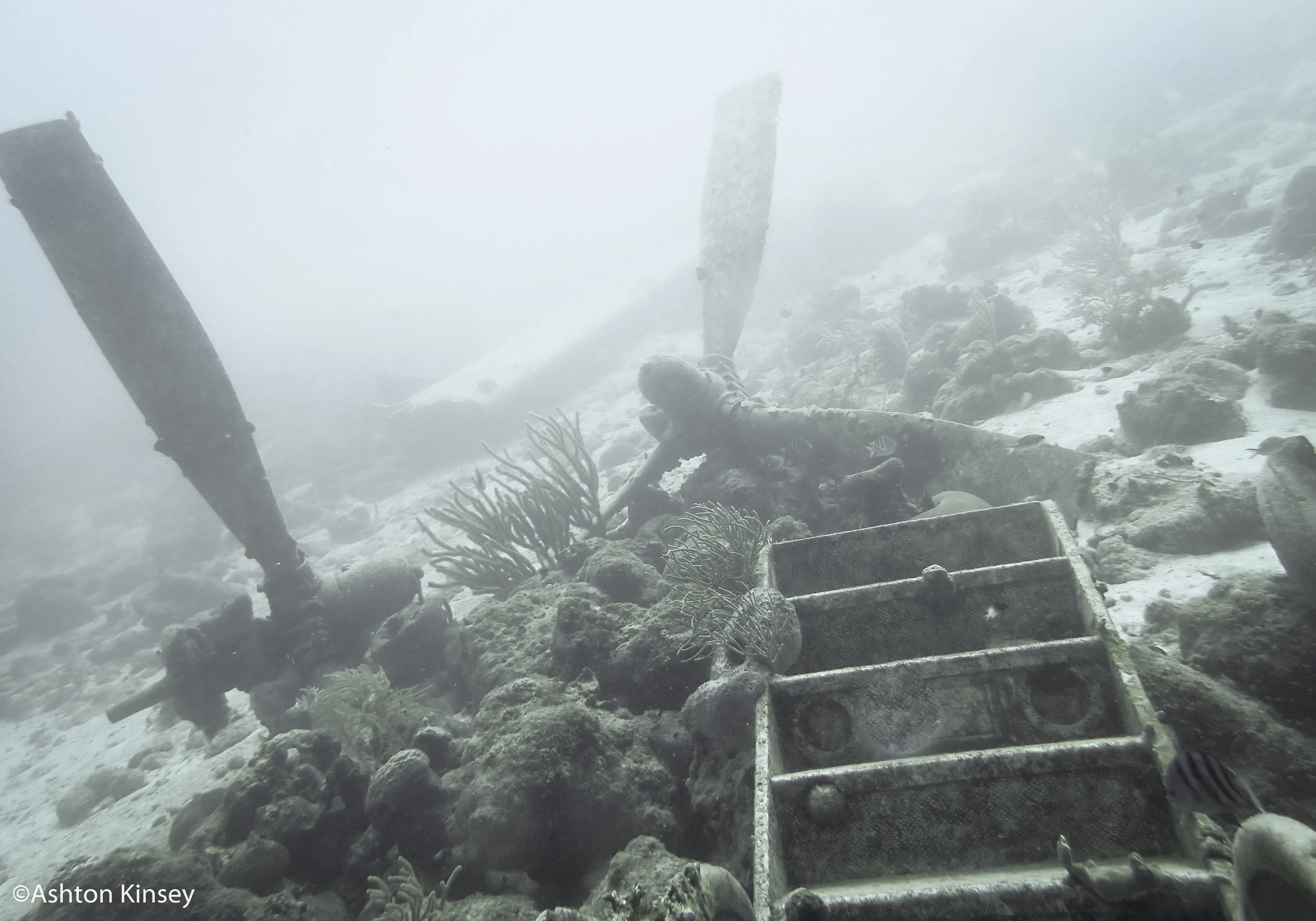 Dive 1 Props-2.jpg