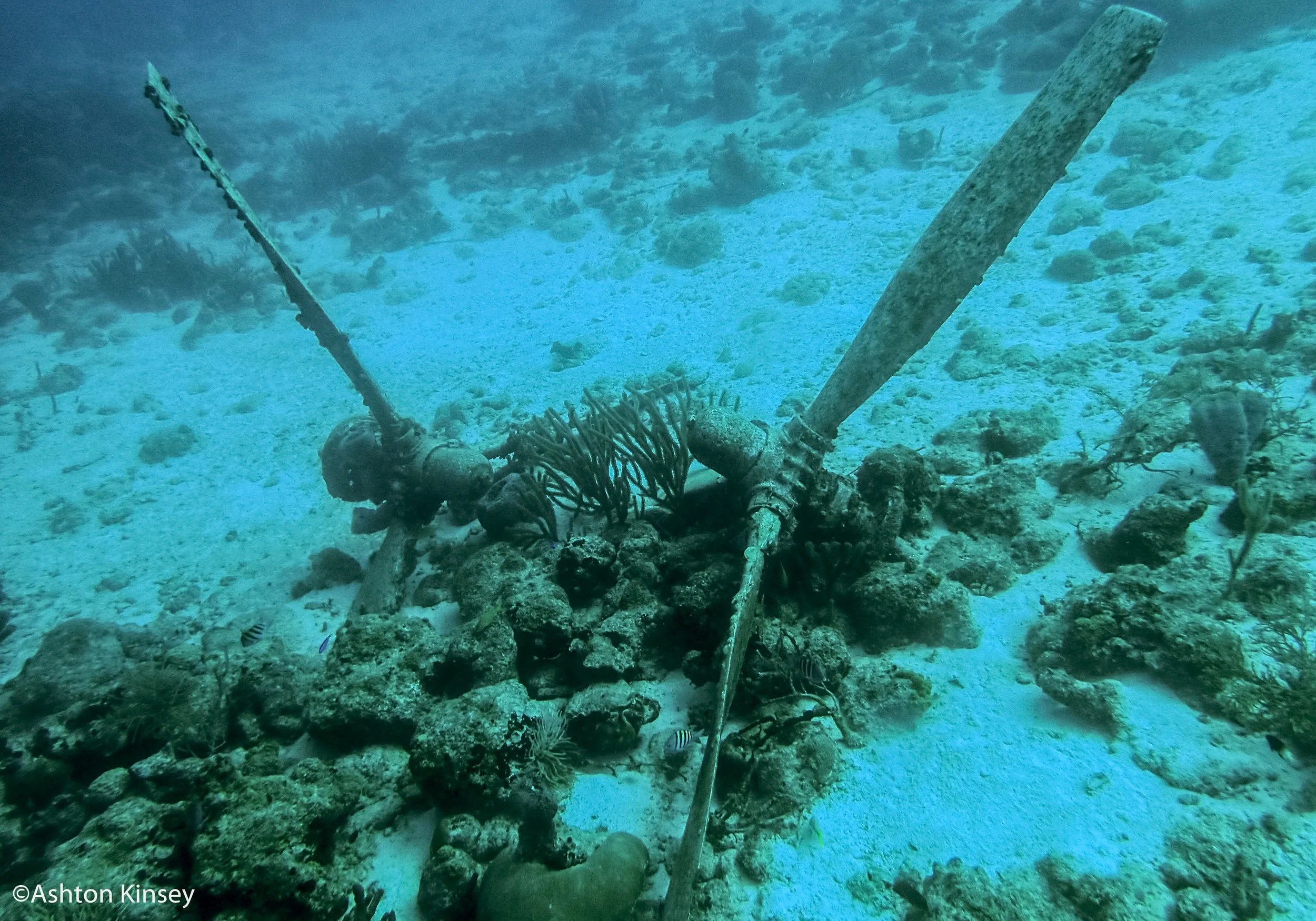 Dive 1 Props.jpg