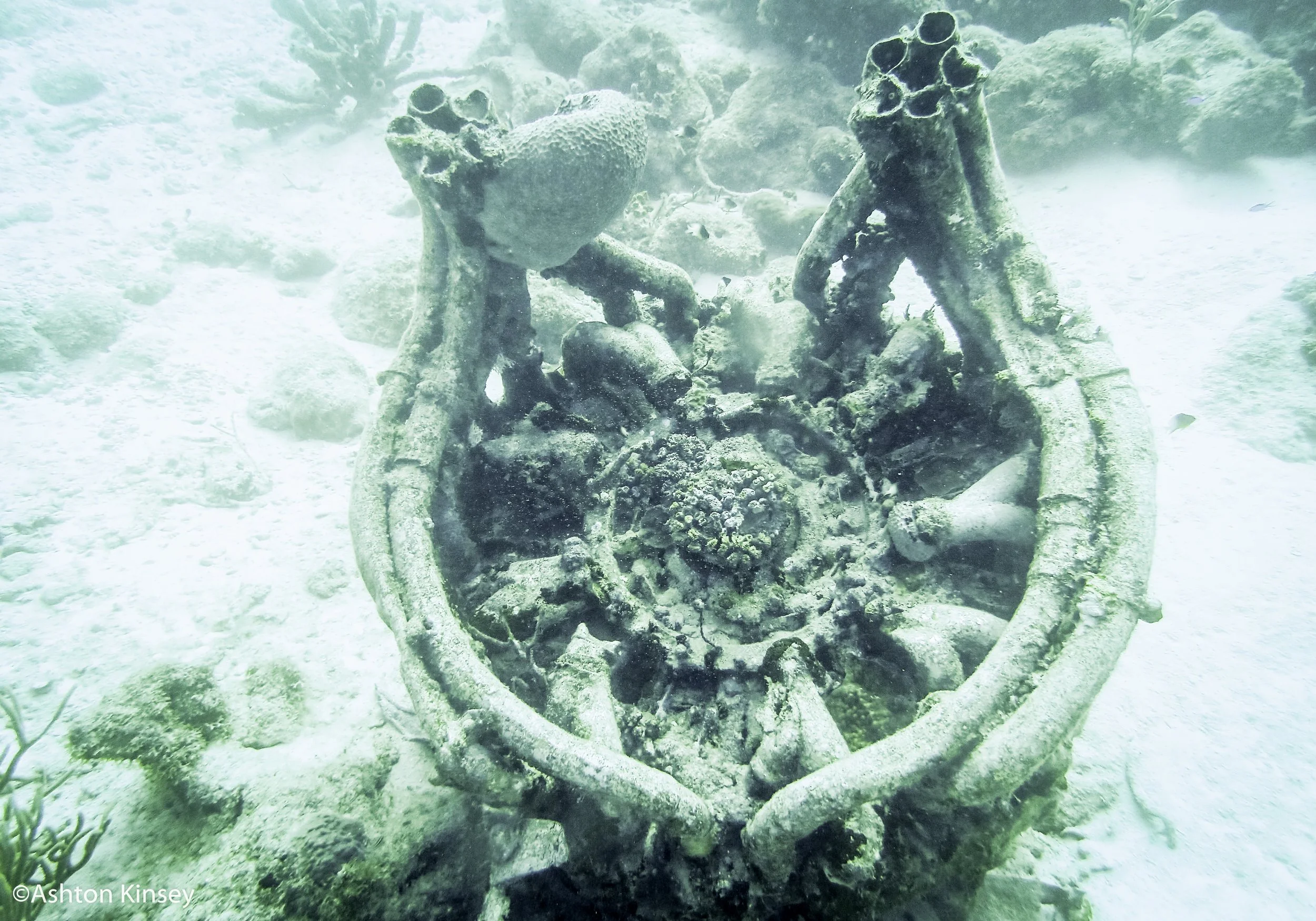 Dive 1 engine.jpg