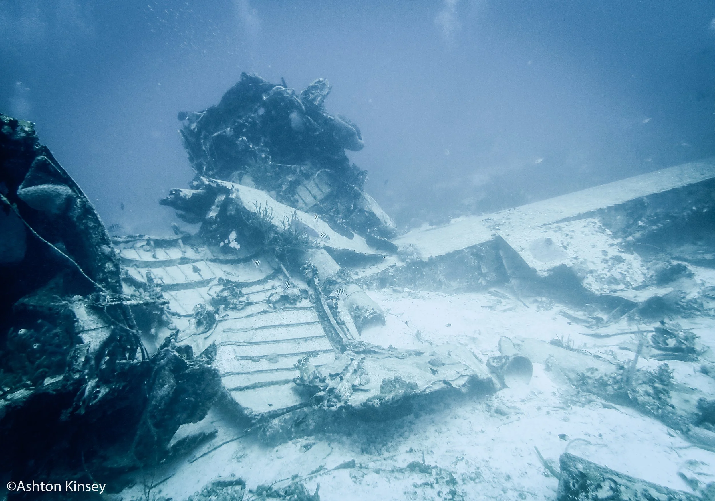 Dive 1 plane.jpg