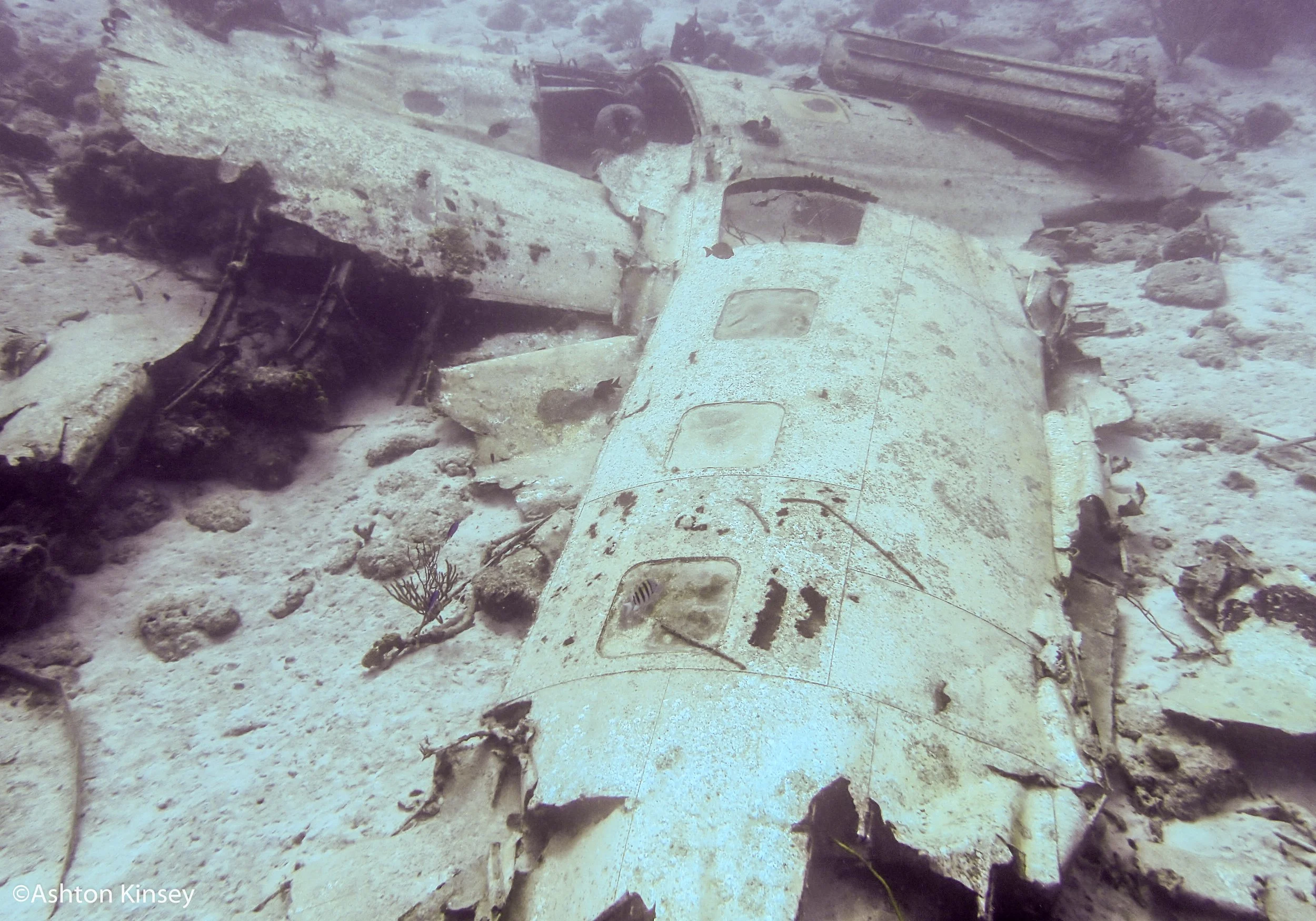 Dive 1 plane-3.jpg