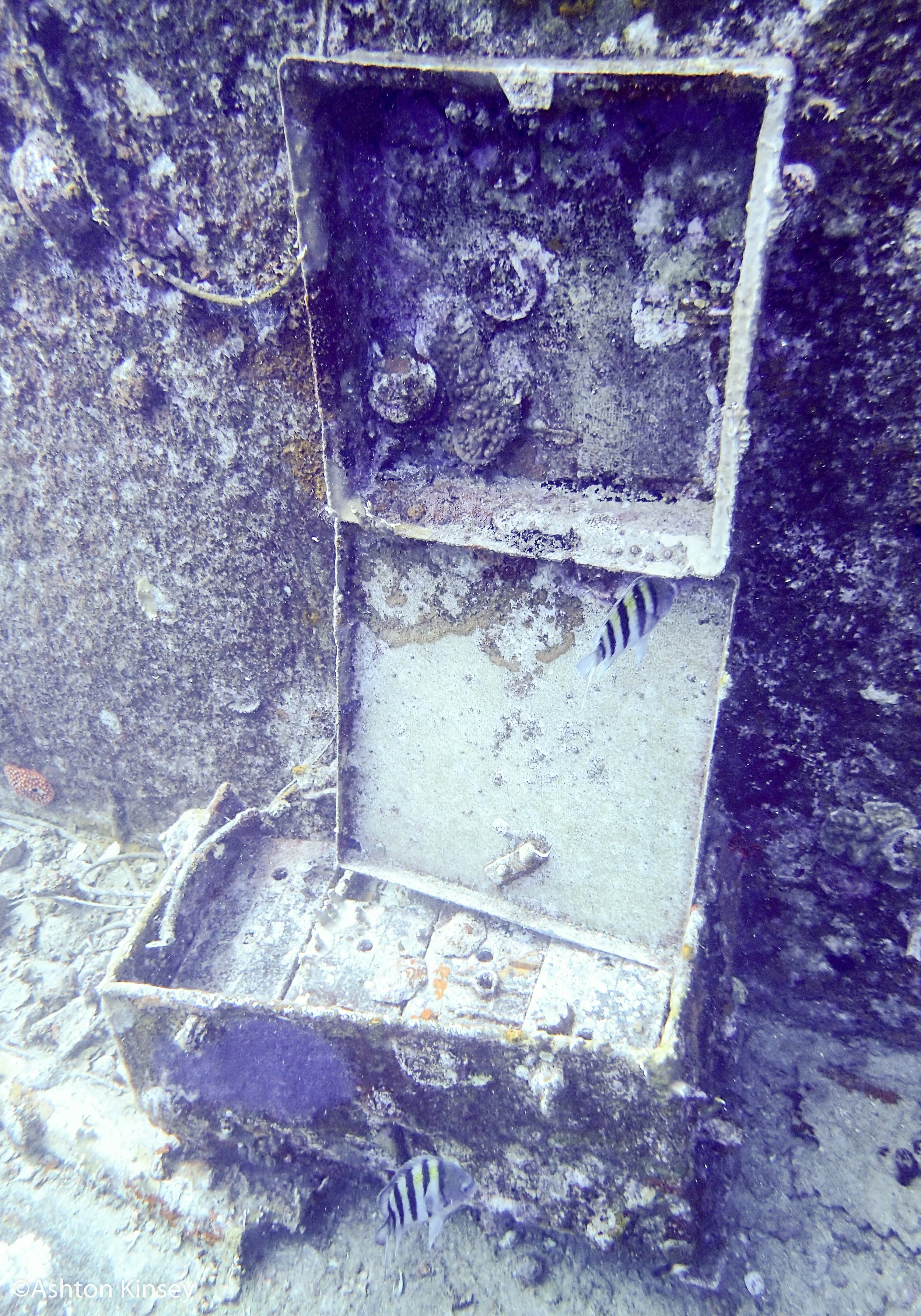 Dive 4_.jpg