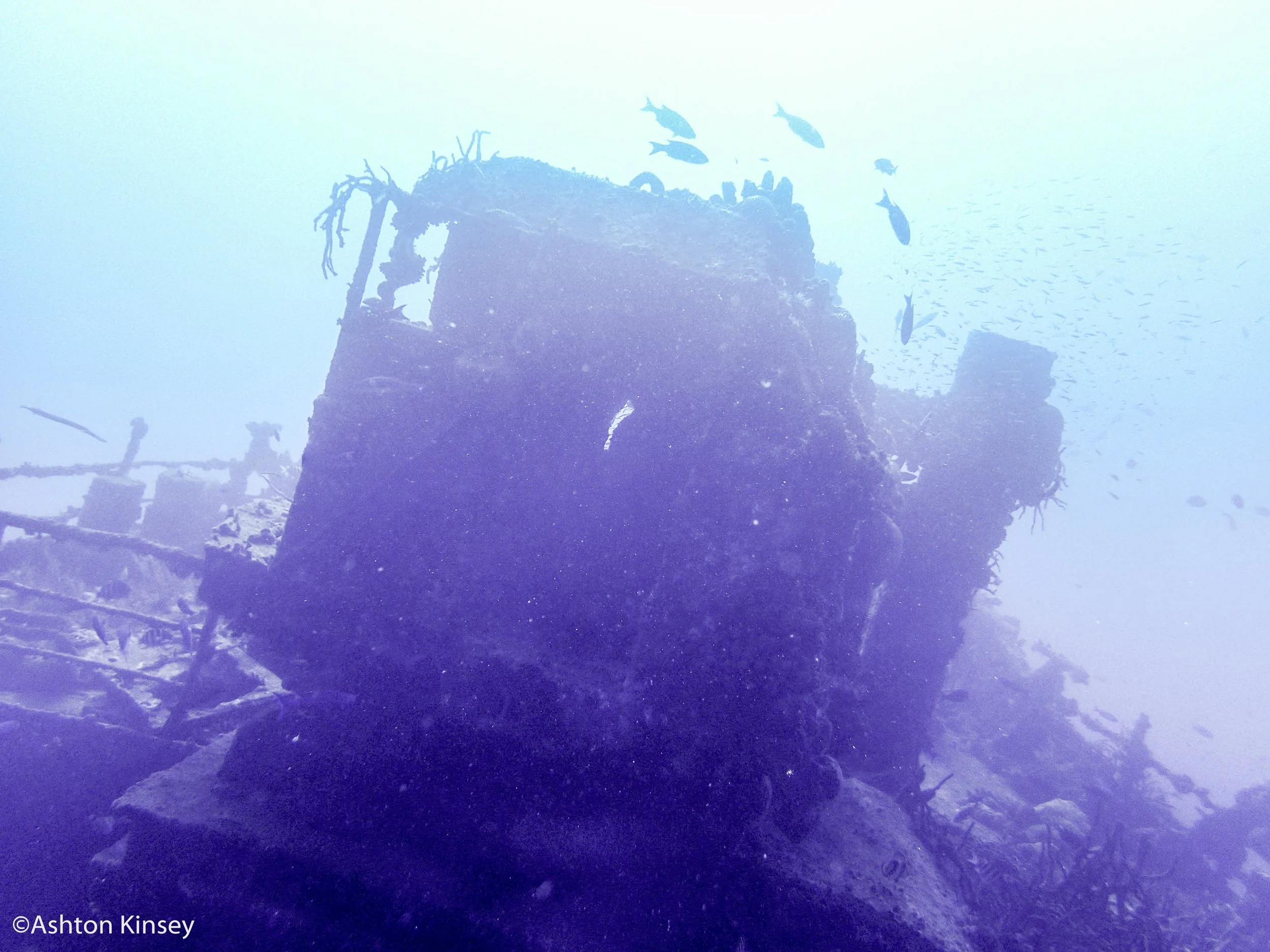 Dive 4-3.jpg