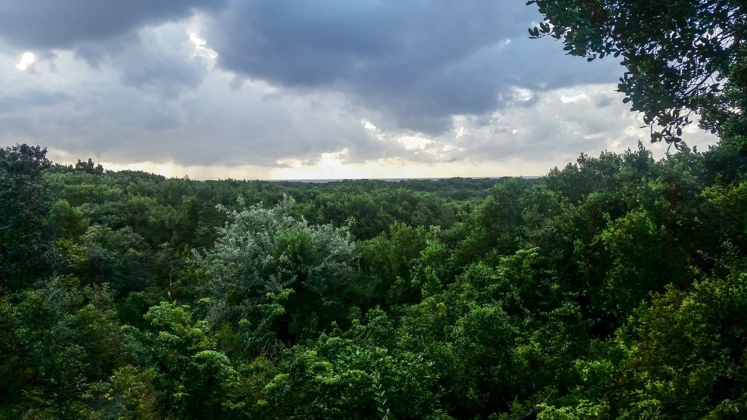 view from the balcony.jpg