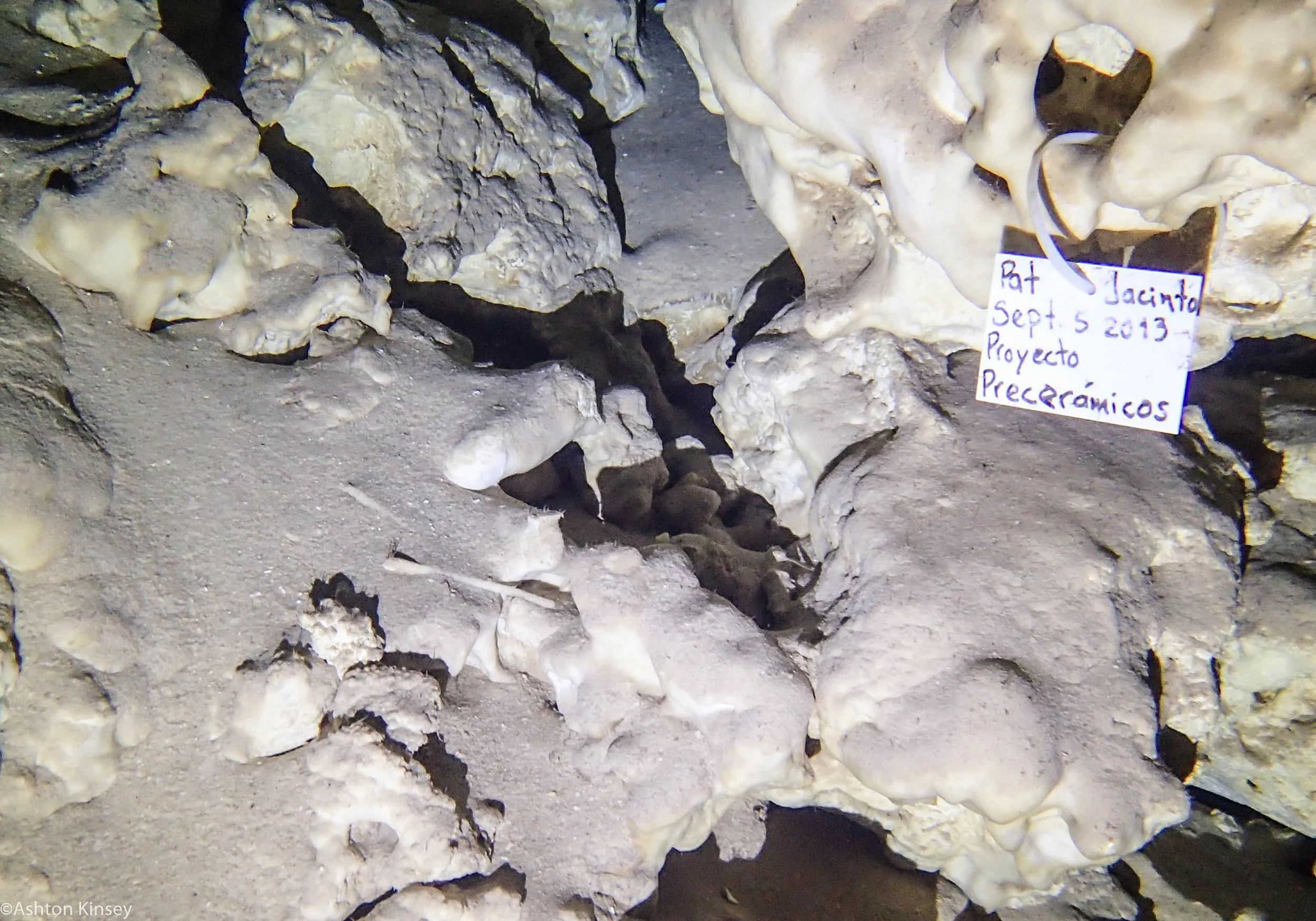 El Pit bone.jpg